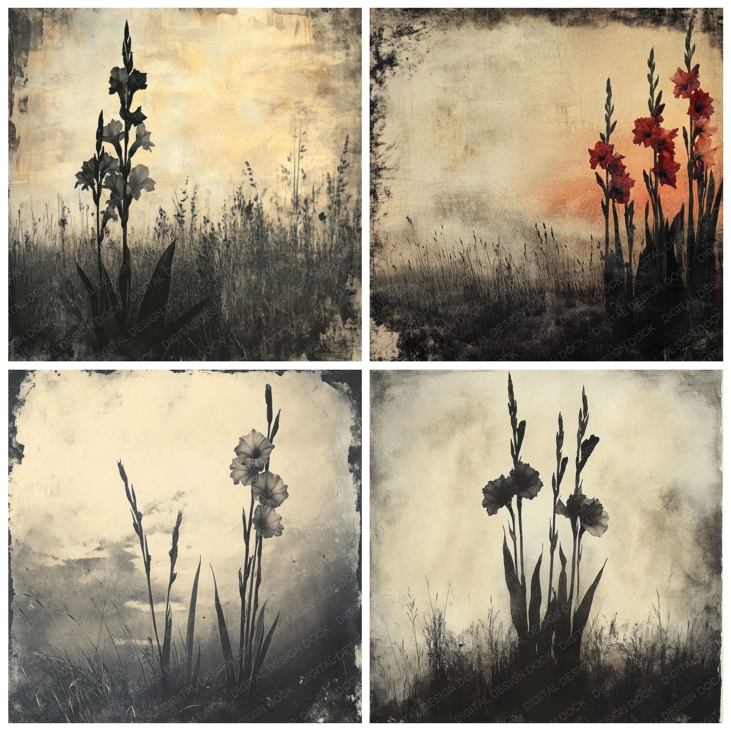 Tenebrous Gladiolus Field Digital Paper Pack (DDD003974)