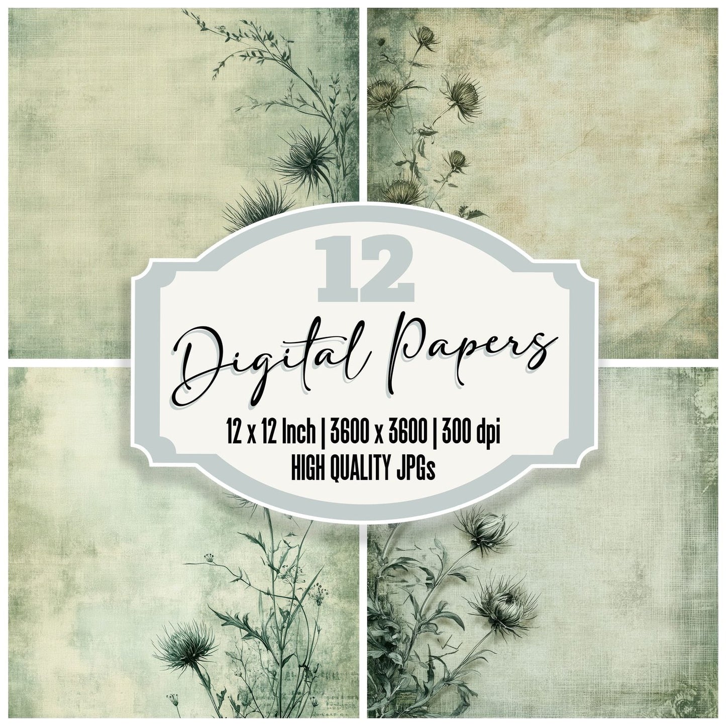 Thistle Green Engraving Digital Paper Pack (DDD003998)
