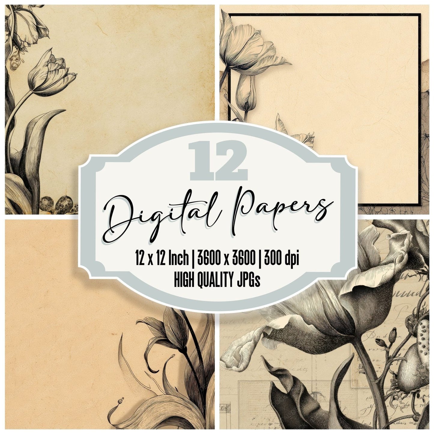 Tulip Pod Botanical Etching Digital Paper Pack (DDD004093)