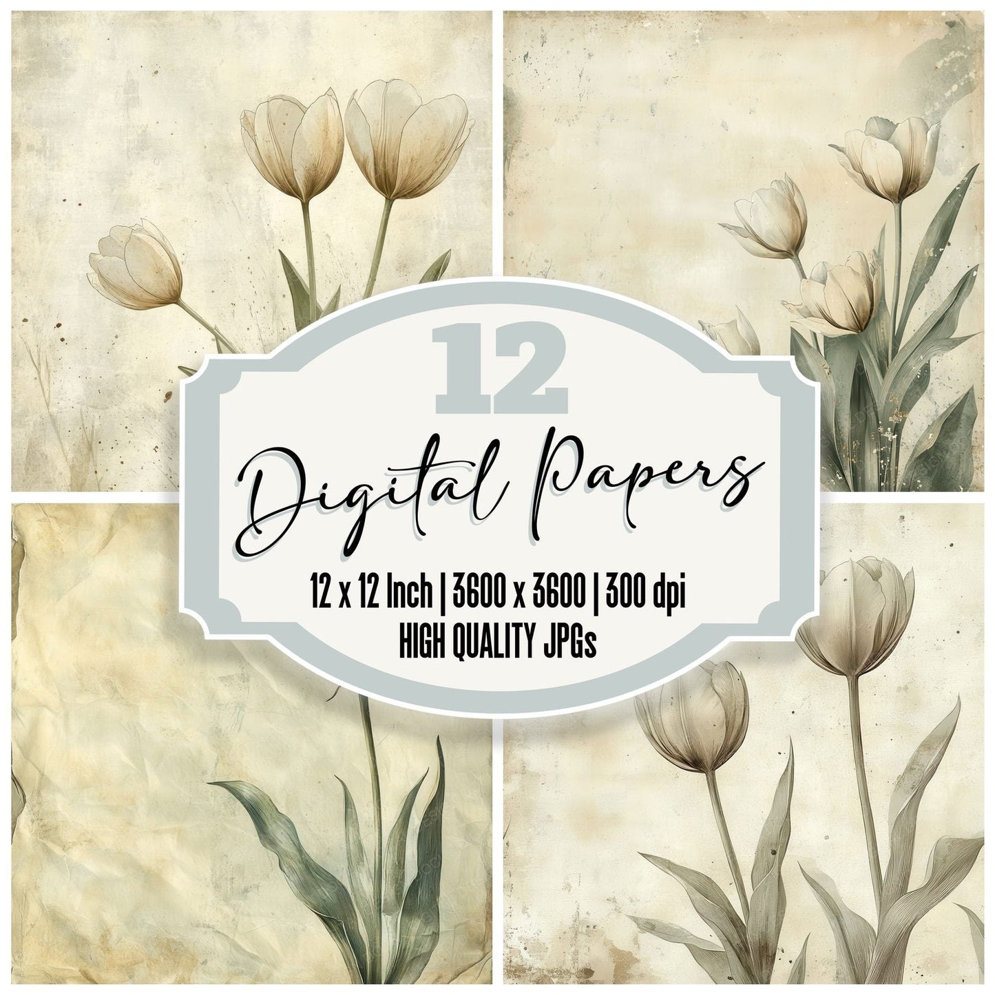 Tulip Sage Fold Digital Paper Pack (DDD004094)