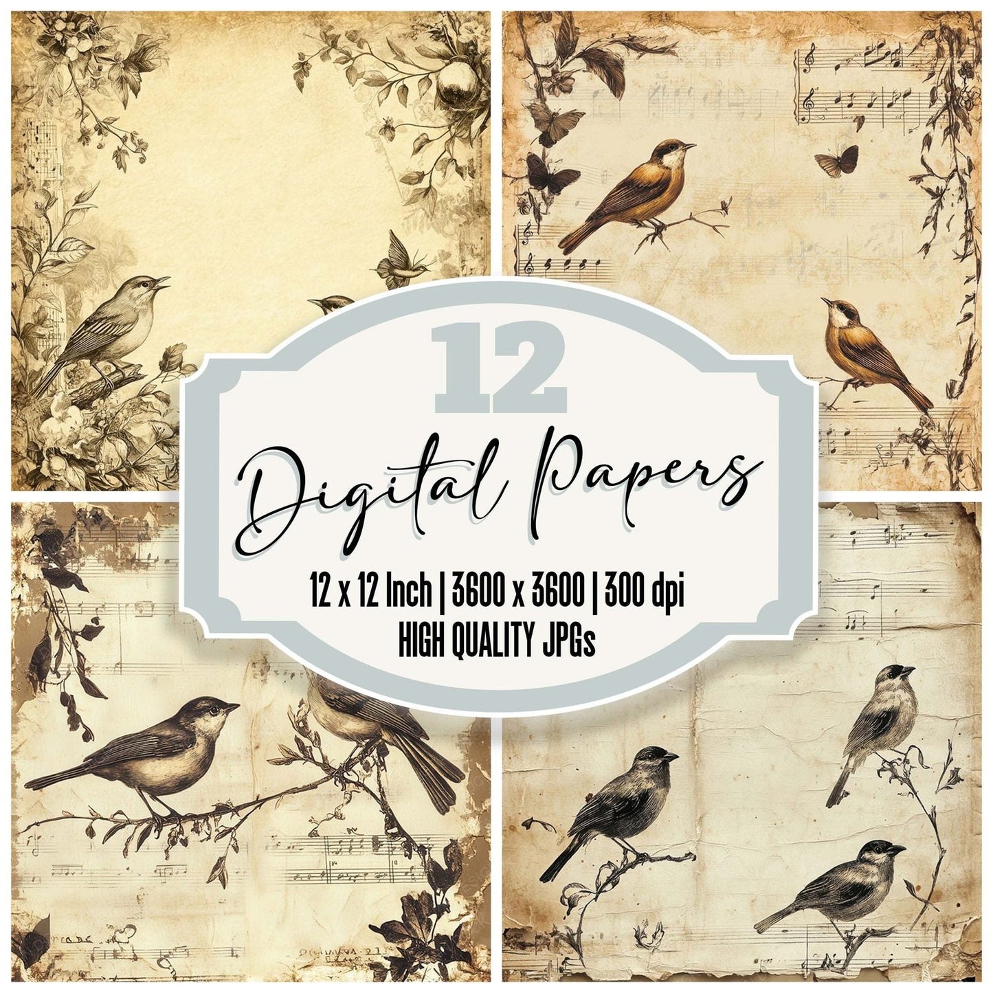 Victorian Decoupage Bird Ribbon Digital Paper Pack (DDD004166)