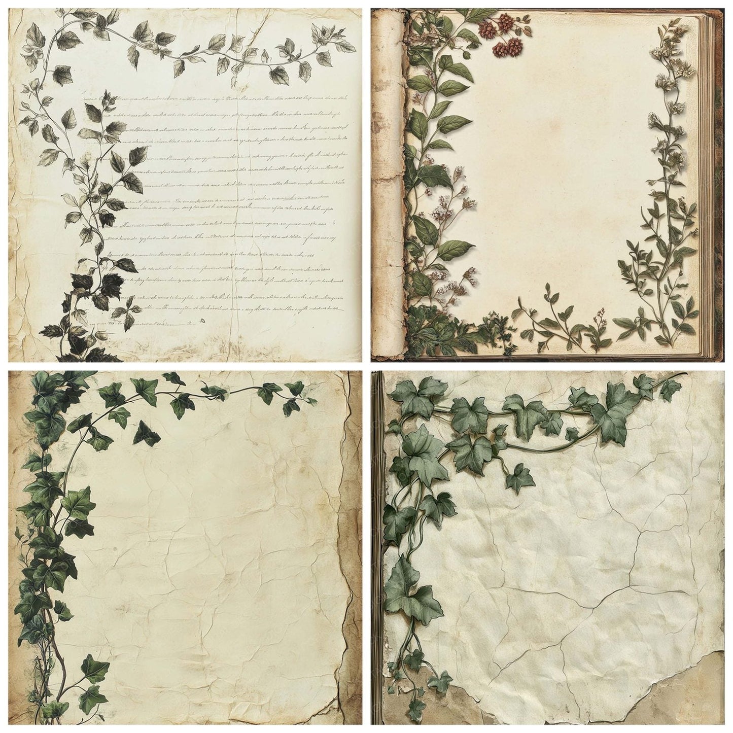 Victorian Decoupage Ivy Journal Scrap Digital Paper Pack (DDD004184)