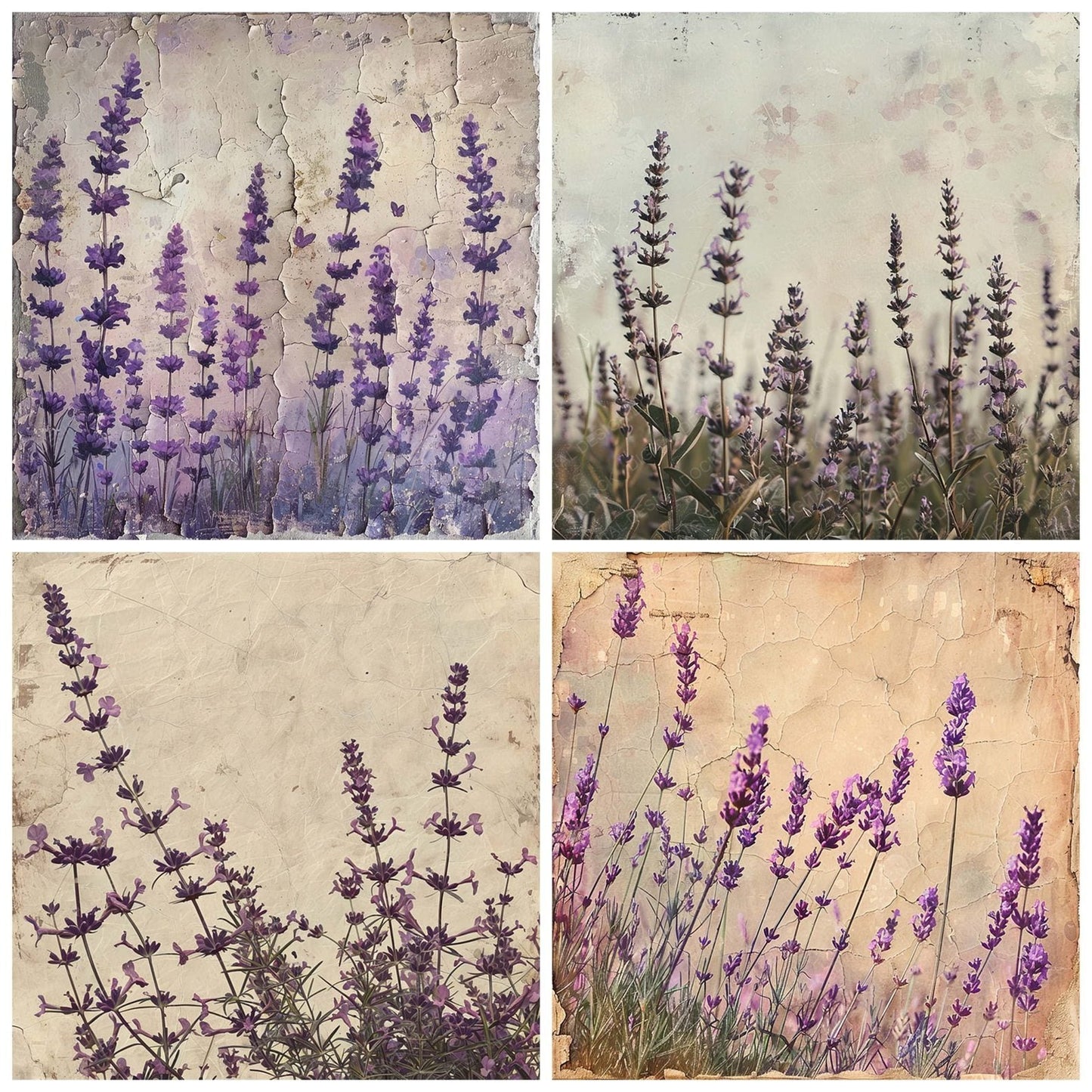 Vintage Digital Paper Lavender Field Digital Paper Pack (DDD004257)