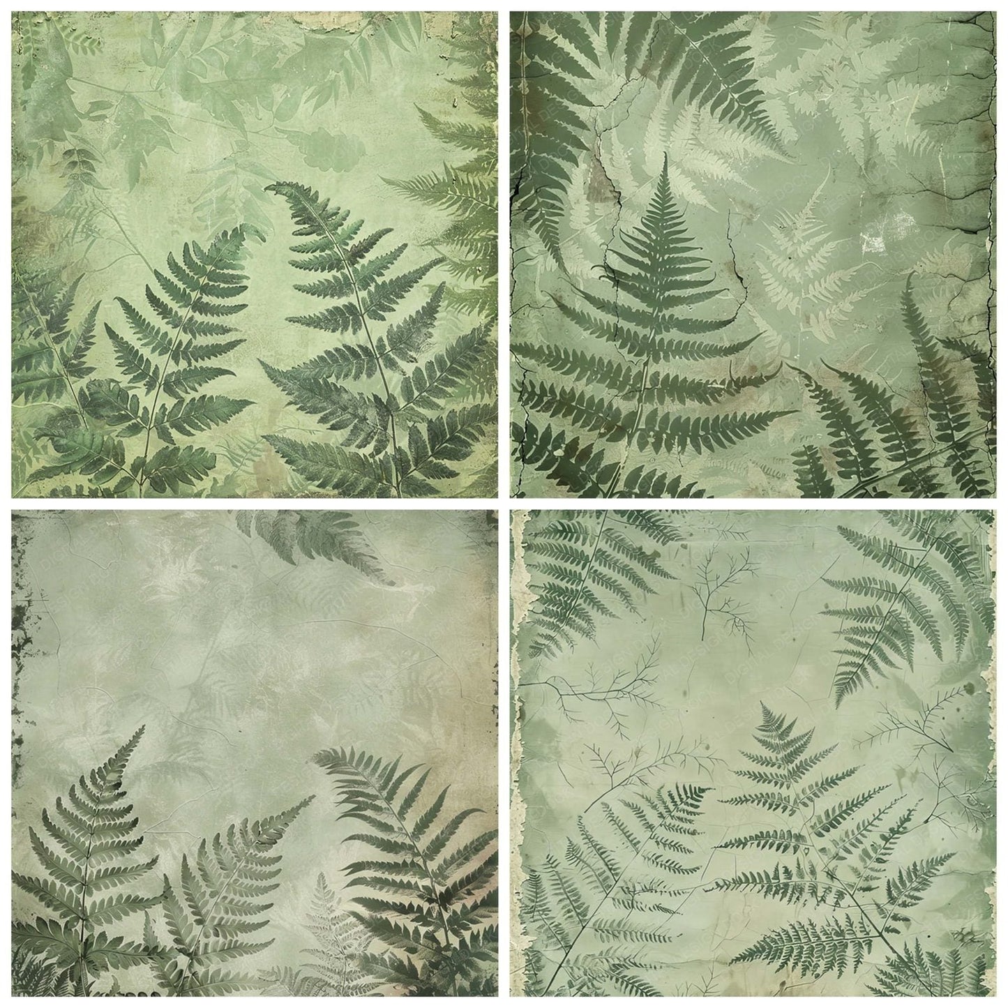 Vintage Digital Paper Muted Green Ferns Digital Paper Pack (DDD004264)