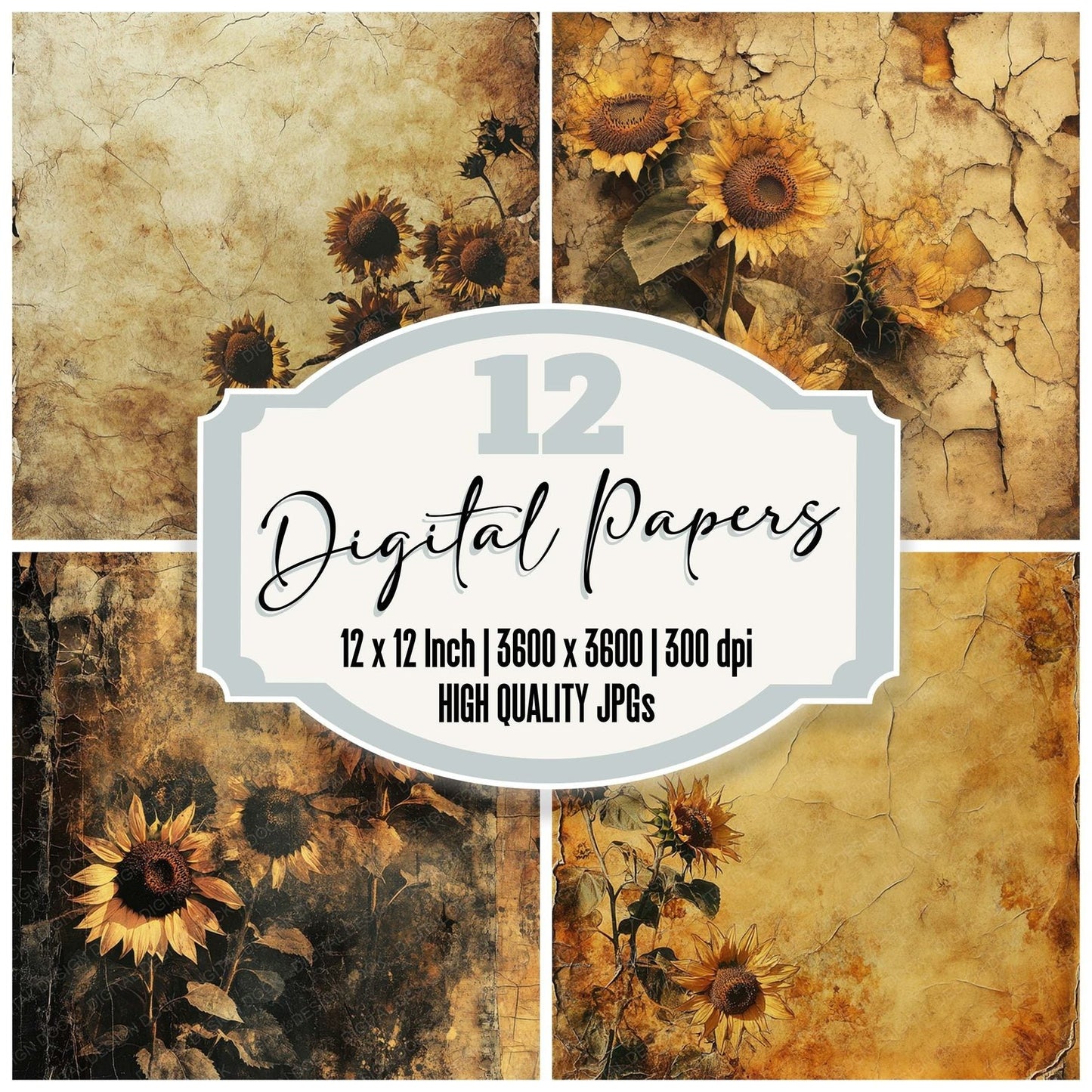 Waning Sunflower Field Digital Paper Pack (DDD004343)
