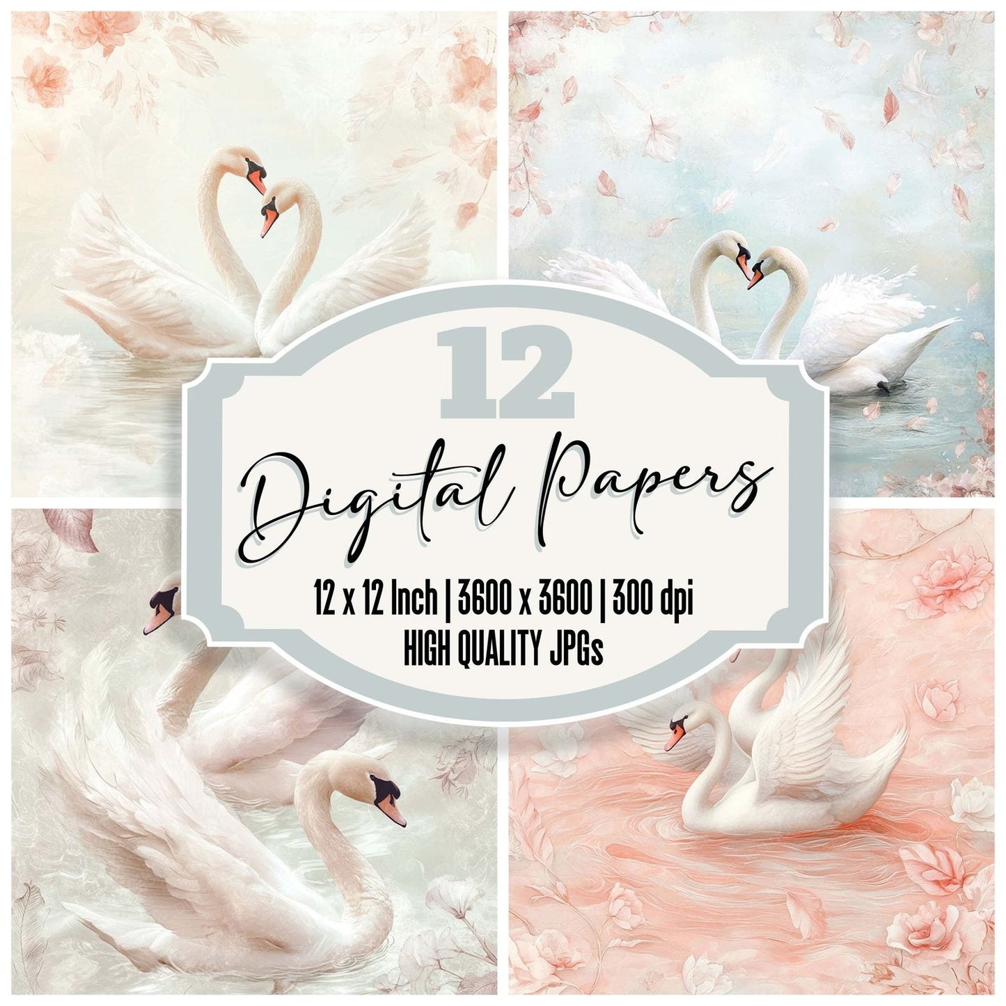 White Swans Feathers Digital Paper Pack (DDD004411)