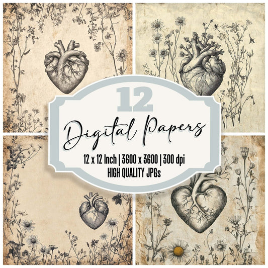 Wildflower Sketch Heart Digital Paper Pack (DDD004423)