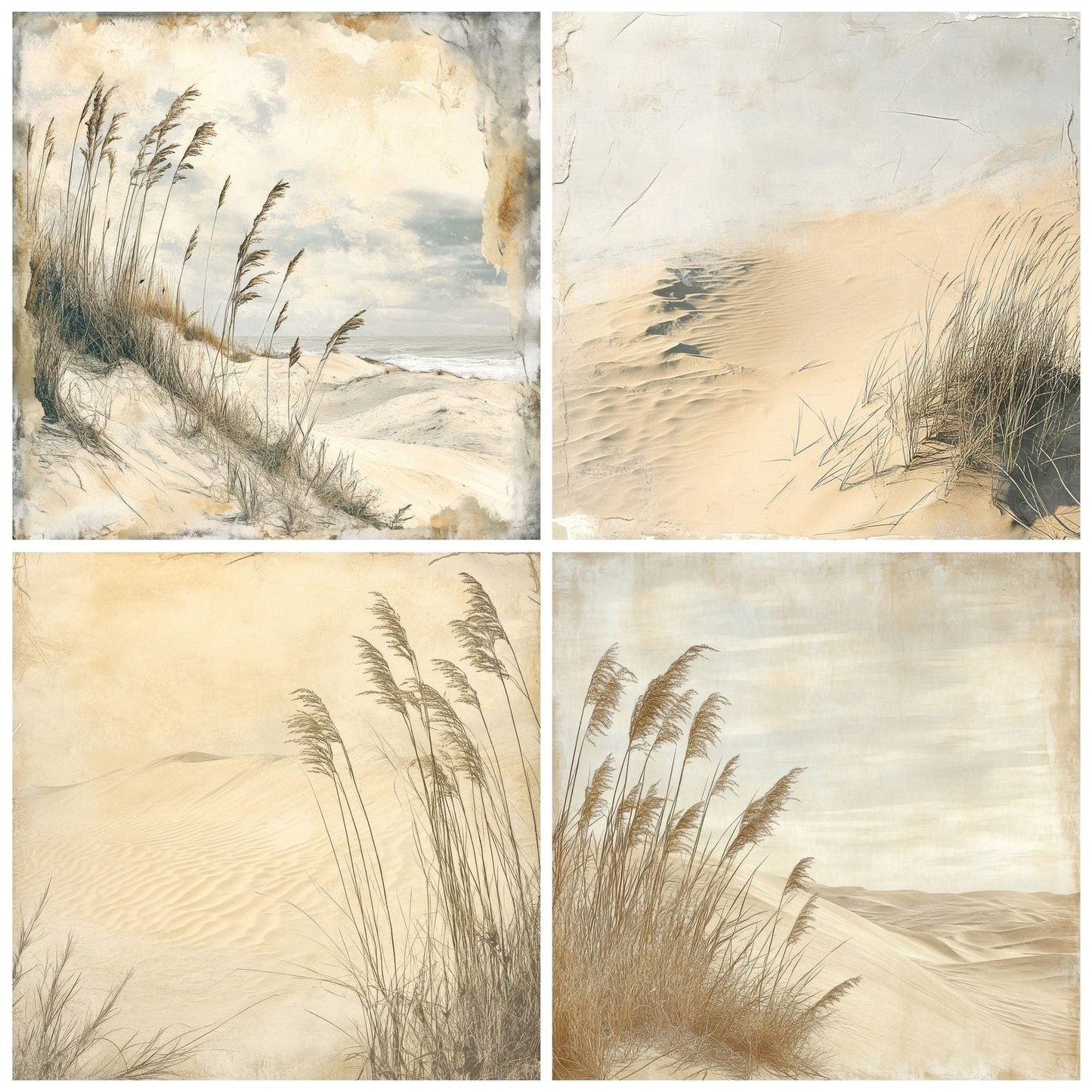 Windblown Sand Dunes Digital Paper Pack (DDD004434)