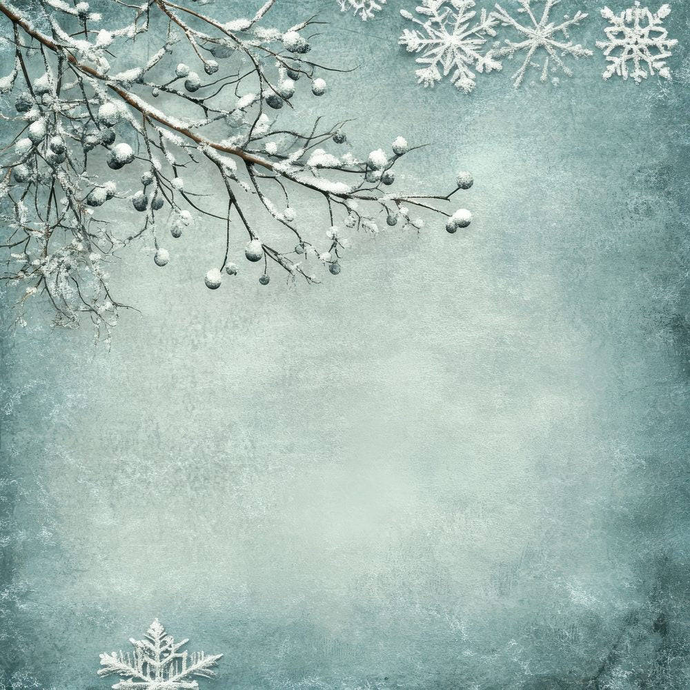 Winter Frost Branch Shadow Digital Paper Pack (DDD004440)