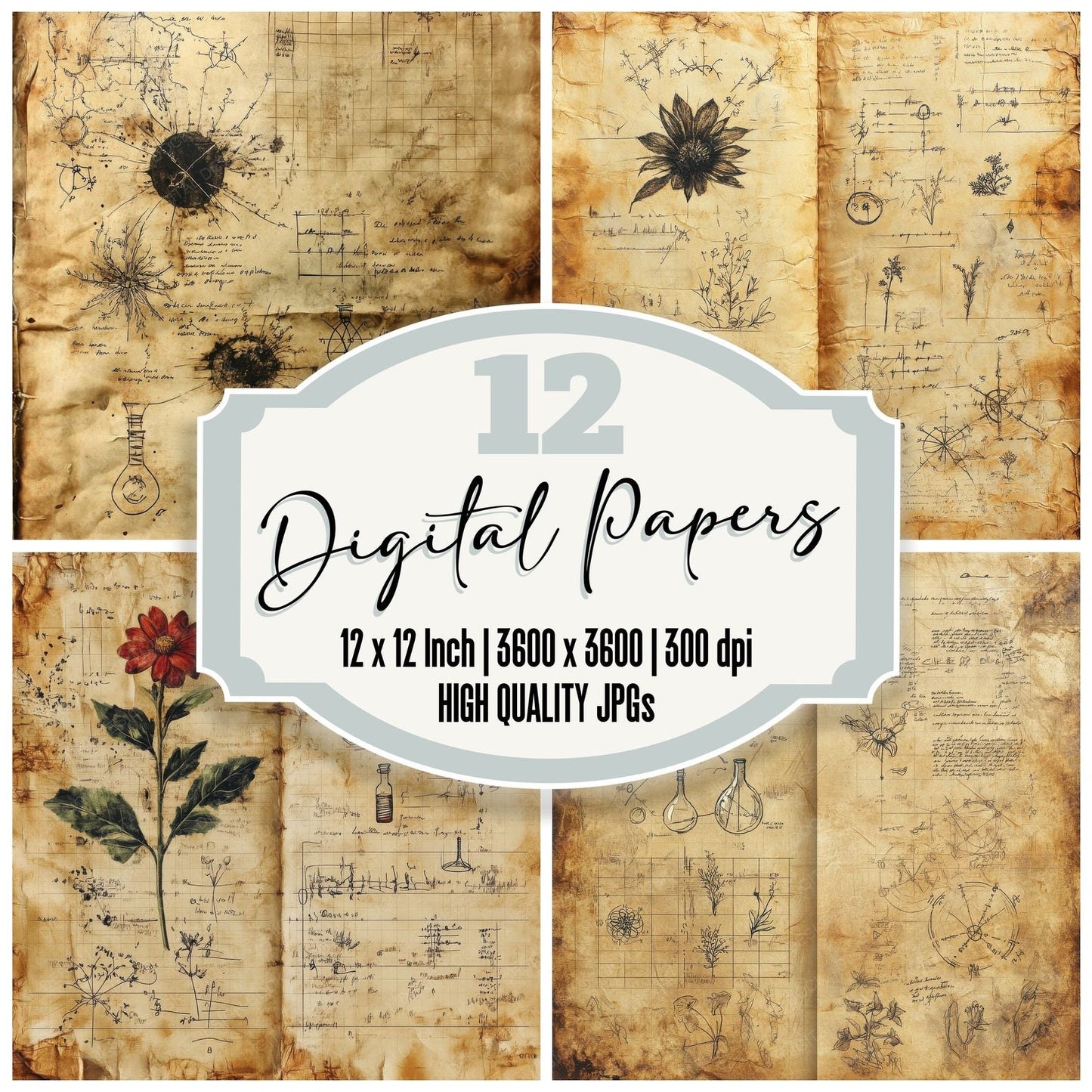 Worn Lab Notes Digital Paper Pack (DDD004472)