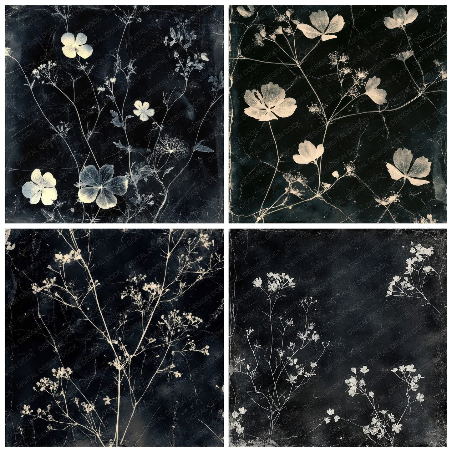 Xray Floral Film Digital Paper Pack (DDD004484)