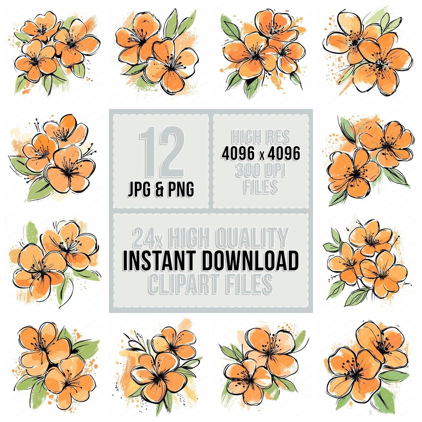 Apricot Abstract Flowers Clipart Set (DDD004616)