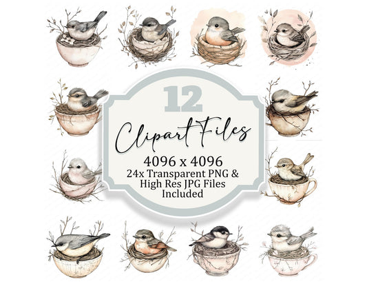 Bird in Fabric Nest Clipart Set (DDD004675)