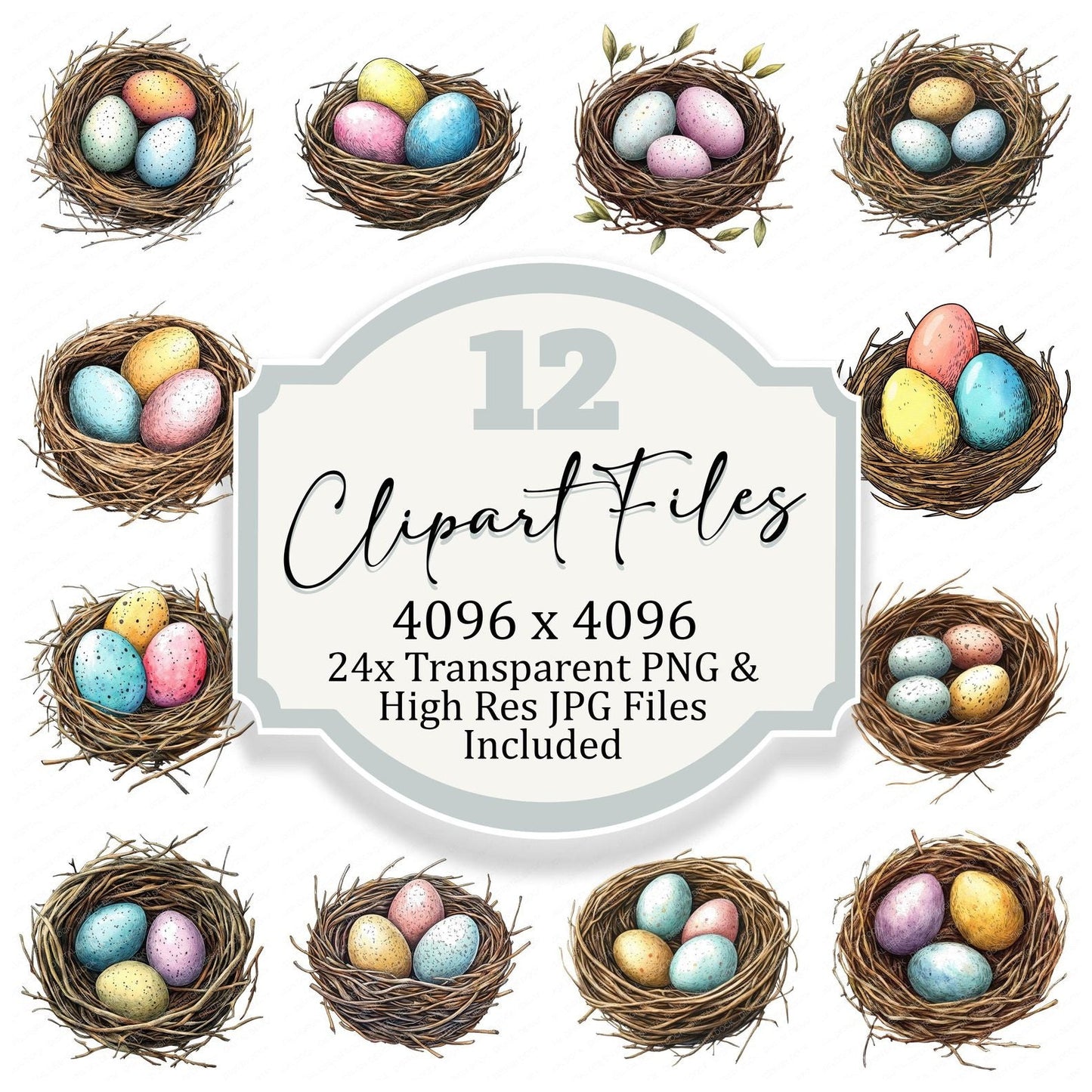 Bird Nest Clipart Set (DDD004676)