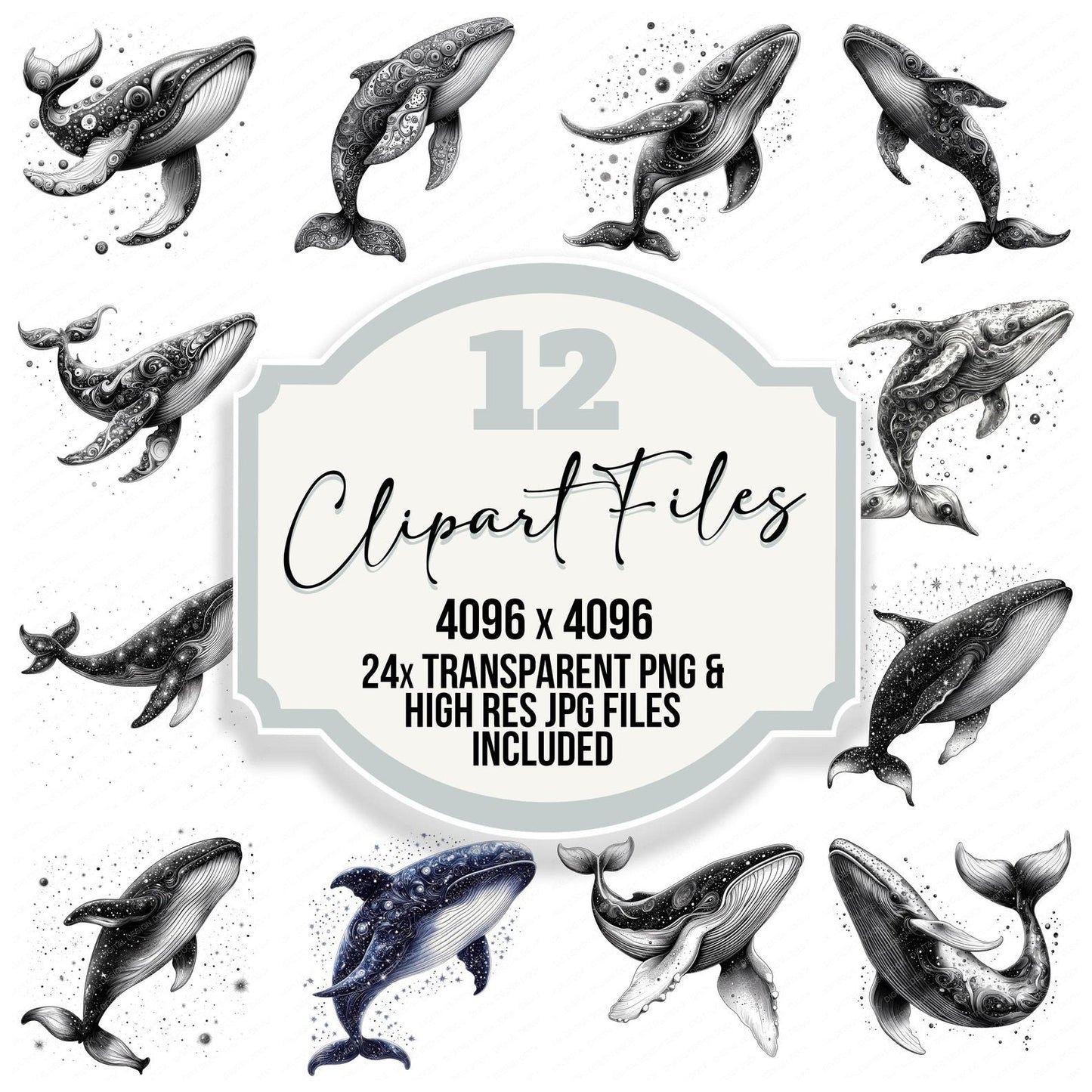 Black Cosmic Whale Clipart Set (DDD004693)