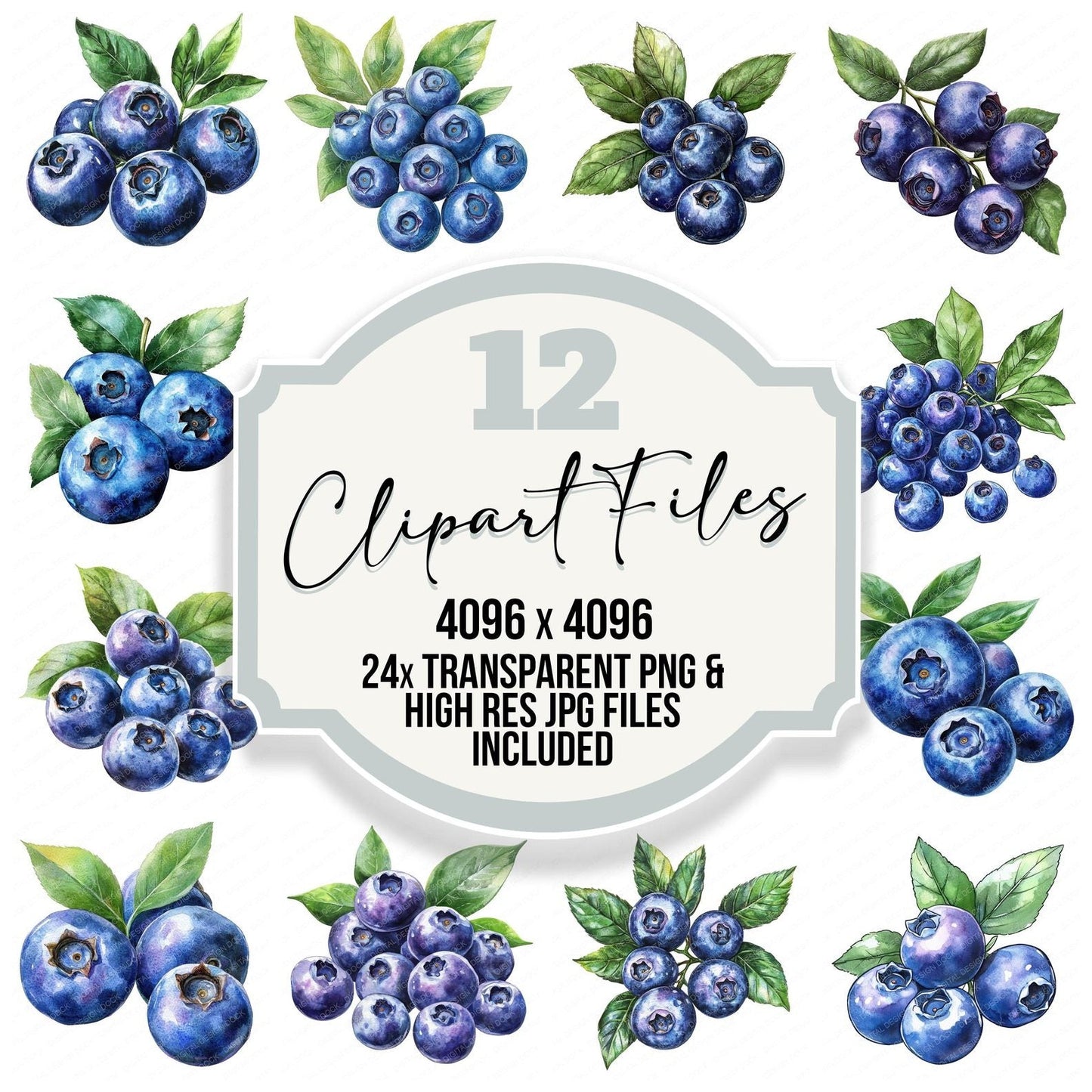 Blueberries Clipart Set (DDD004712)