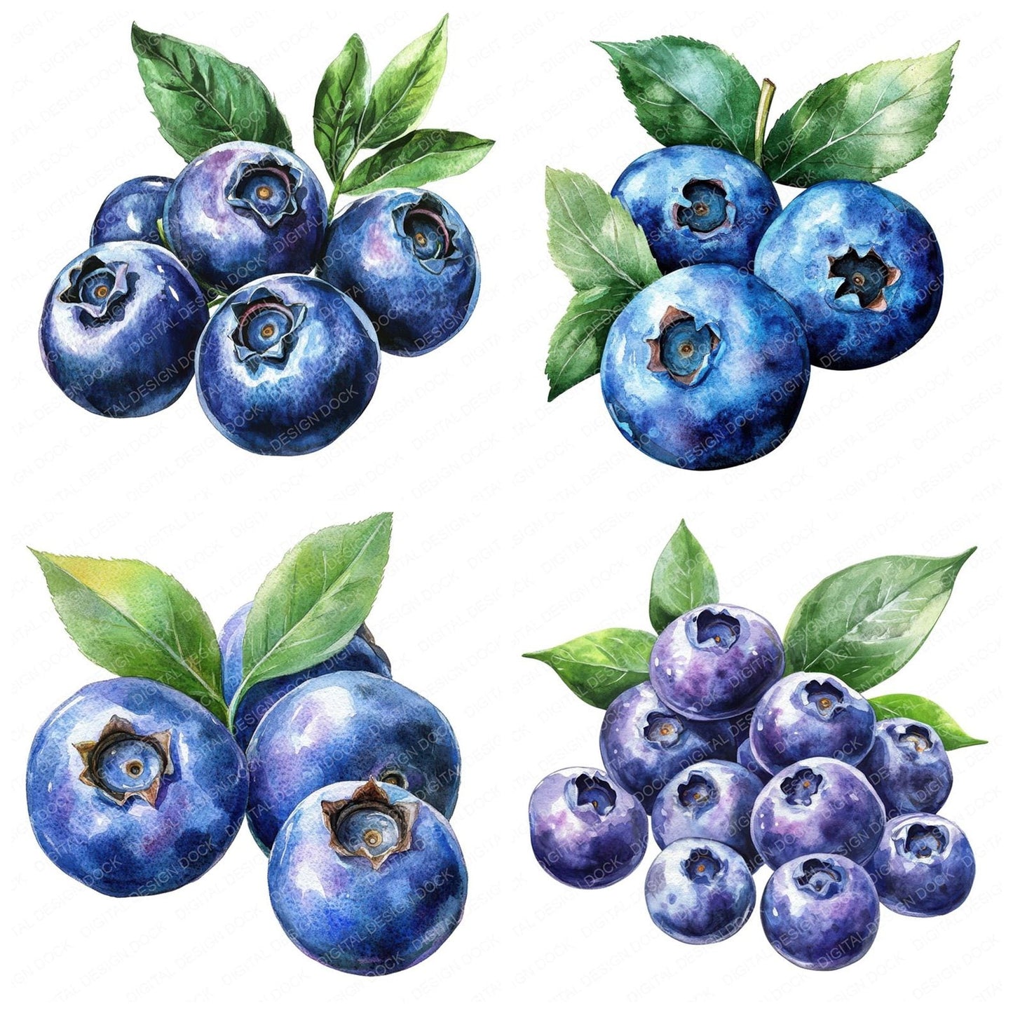 Blueberries Clipart Set (DDD004712)