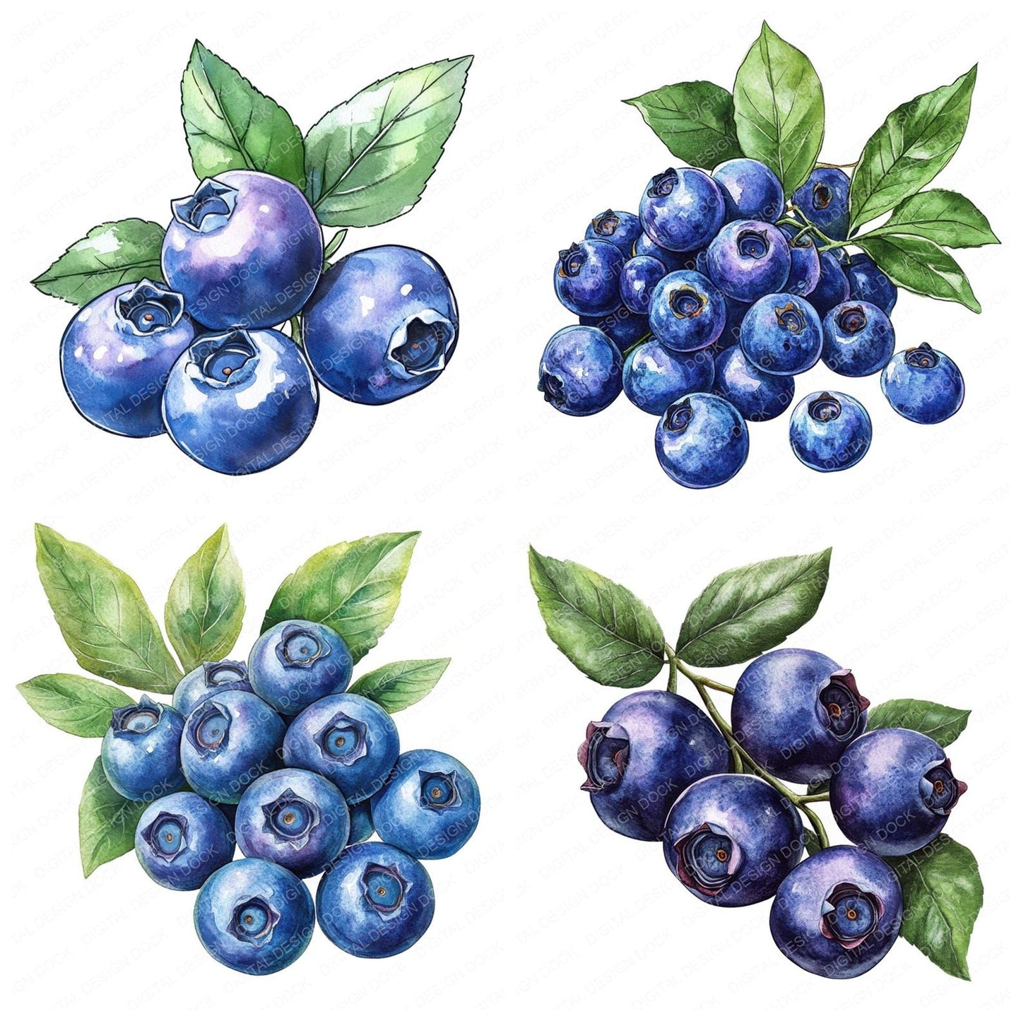 Blueberries Clipart Set (DDD004712)