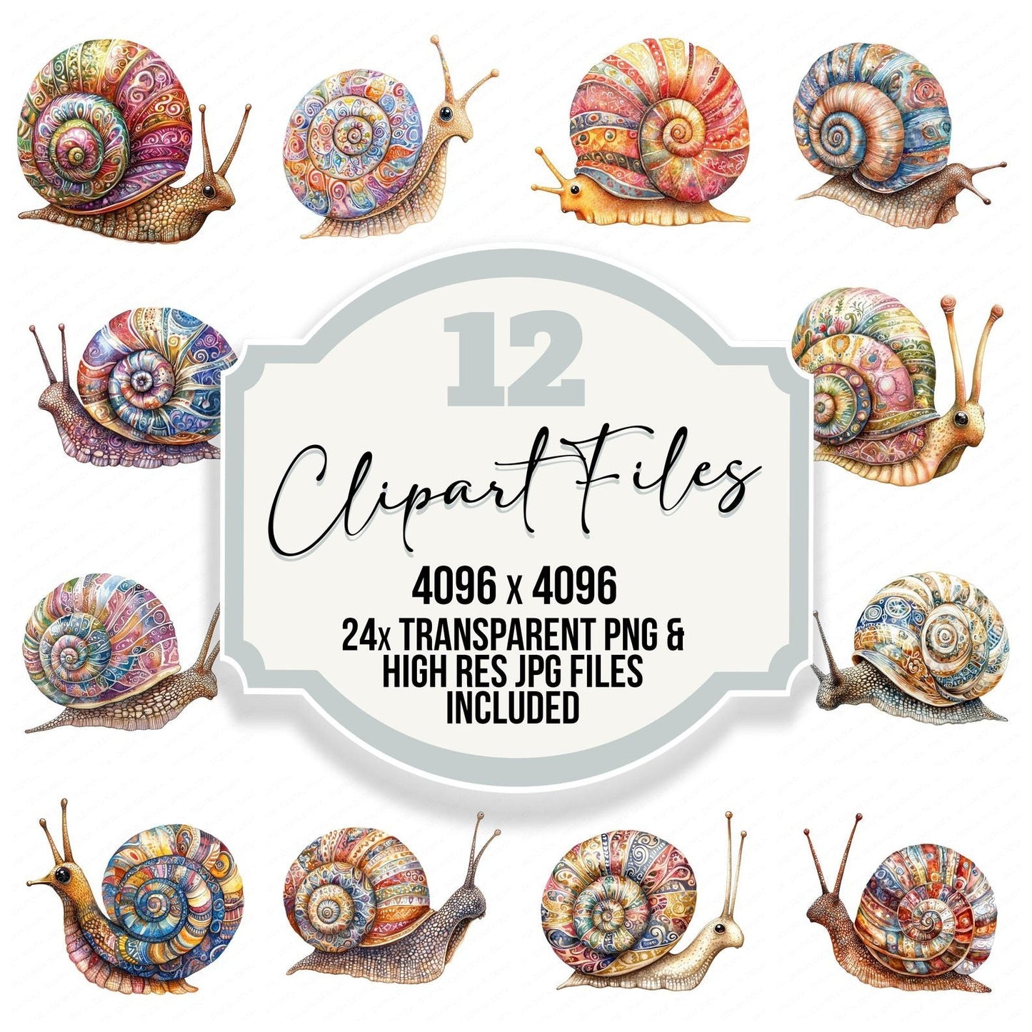 Boho Pattern Snail Clipart Set (DDD004737)