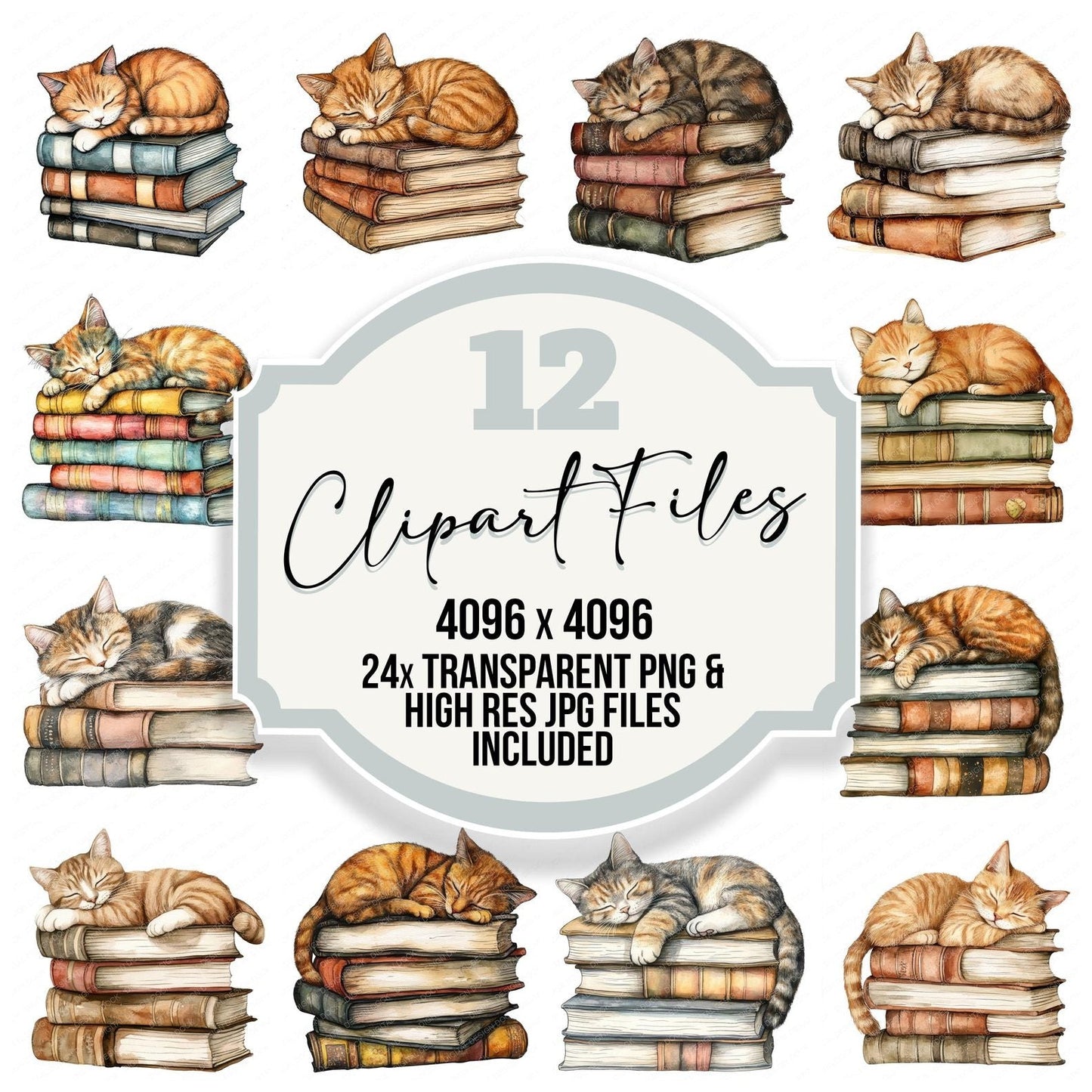 Cat Sleeping on Books Clipart Set (DDD004821)