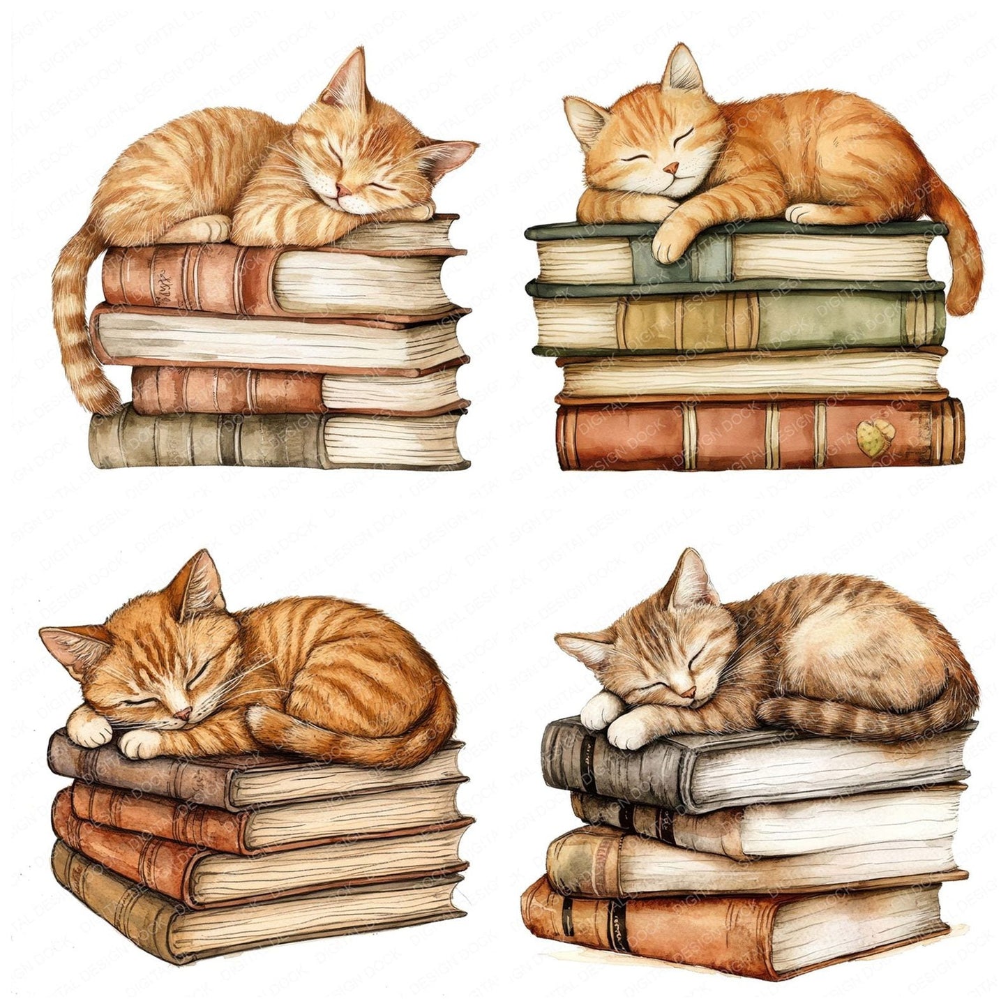 Cat Sleeping on Books Clipart Set (DDD004821)