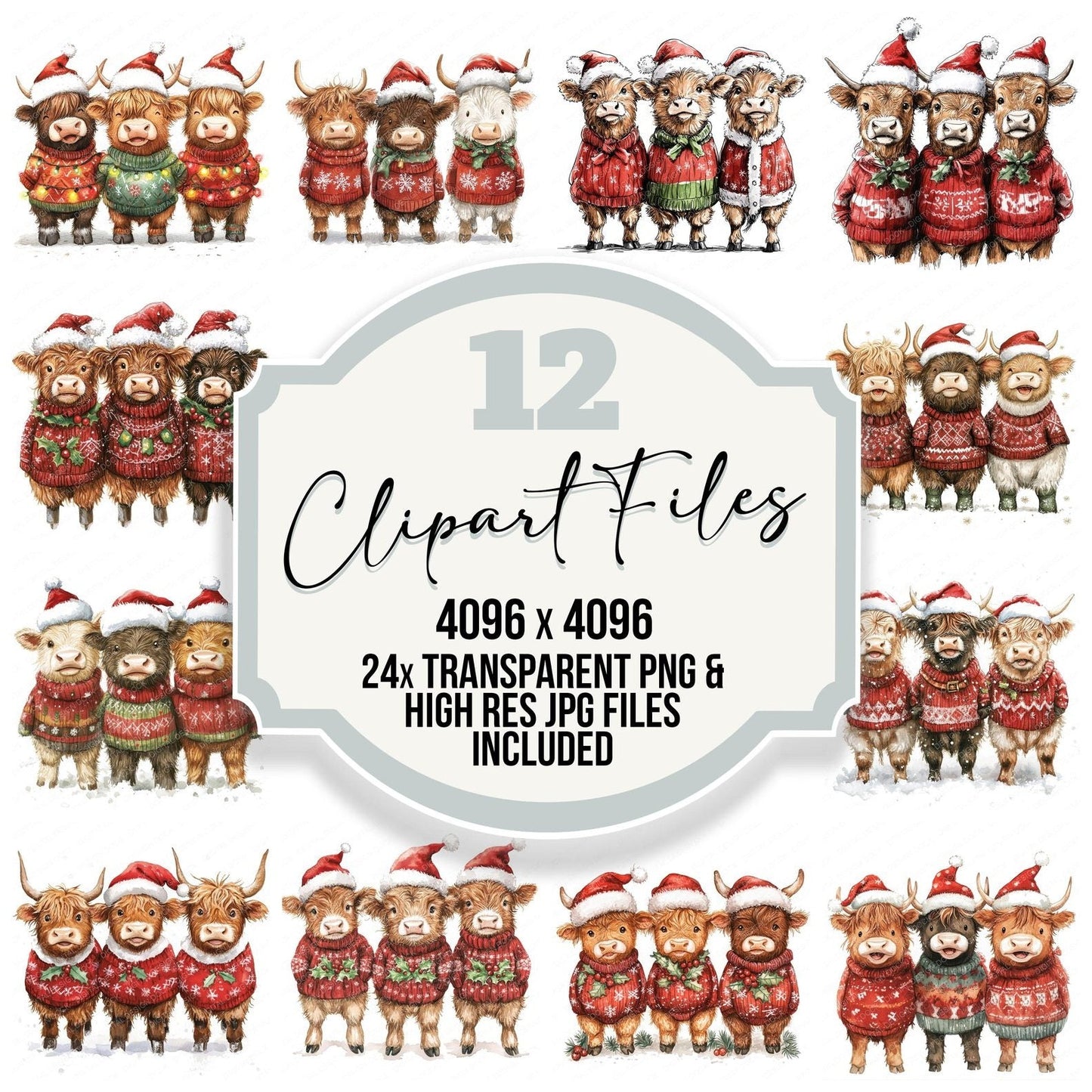 Christmas Highland Cow Group Clipart Set (DDD004891)