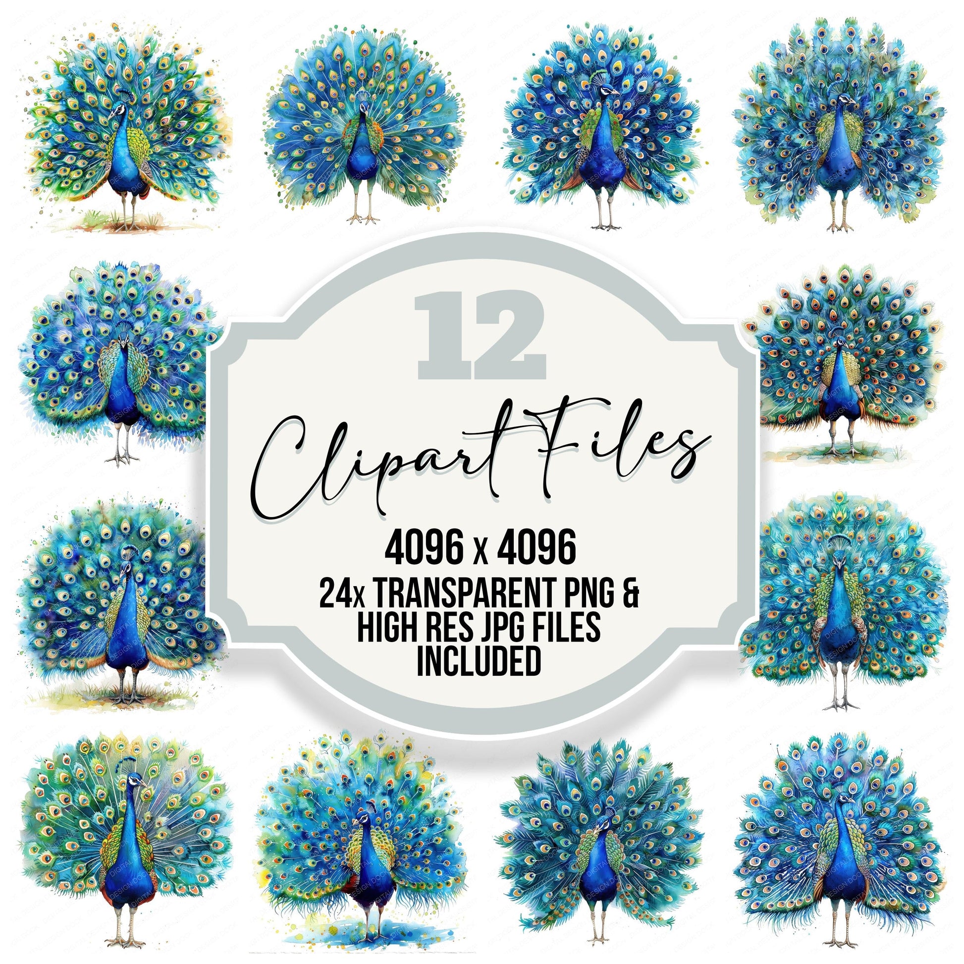 Colourful Peacock clipart set with transparent PNGs and high resolution JPGs for crafting and design projects