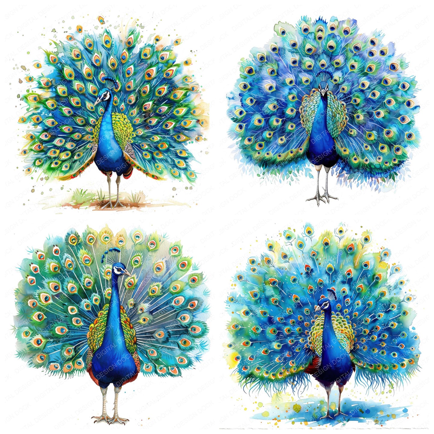 Preview layout showing Colourful Peacock clipart elements for scrapbooking, junk journals, and card making