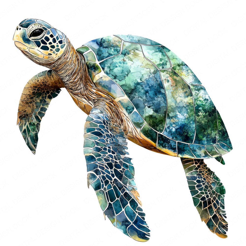 Colourful Watercolour Sea Turtle Clipart Set (DDD005001)