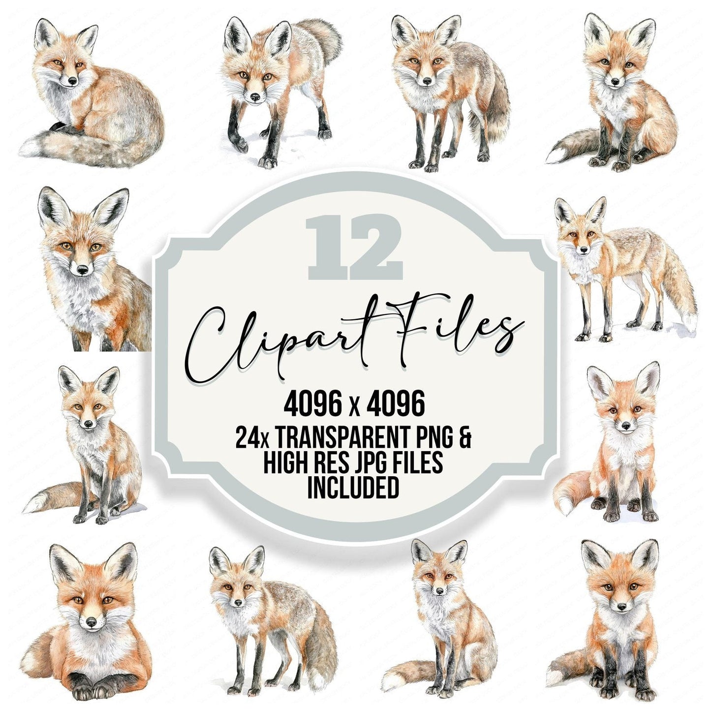 Curious Watercolour Fox Clipart Set (DDD005055)