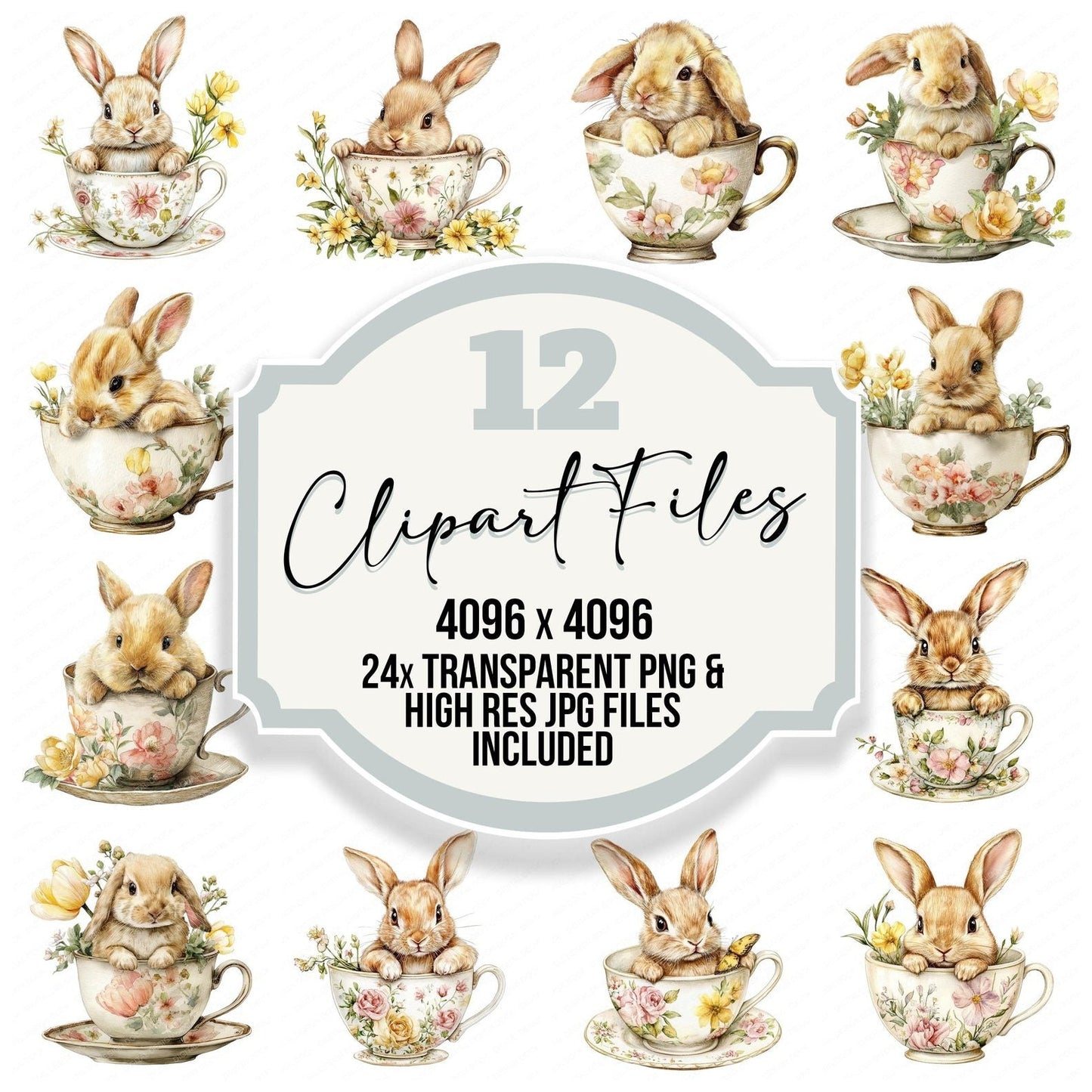 Cute easter Bunny in Teacup Clipart Set (DDD005065)