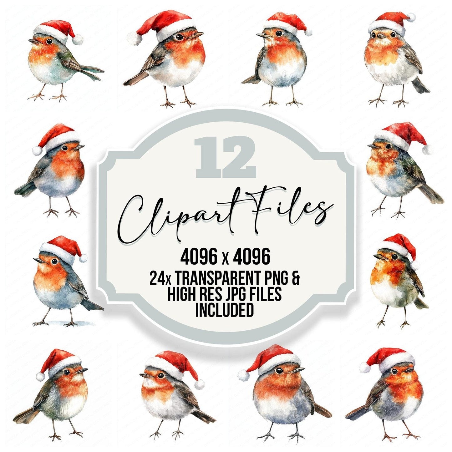 Cute Robin with Santa Hat Clipart Set (DDD005075)