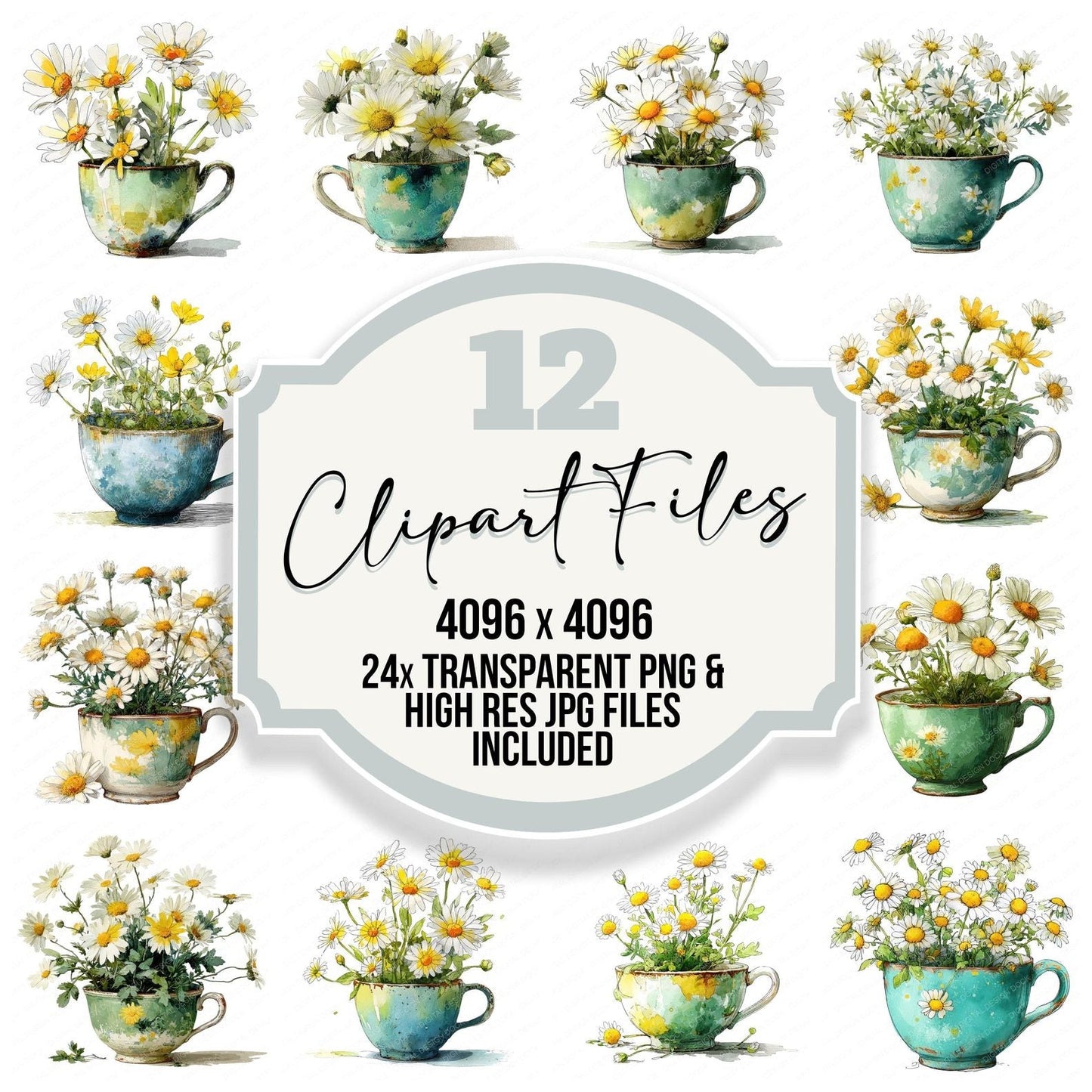 Daisy Teacup Clipart Set (DDD005086)