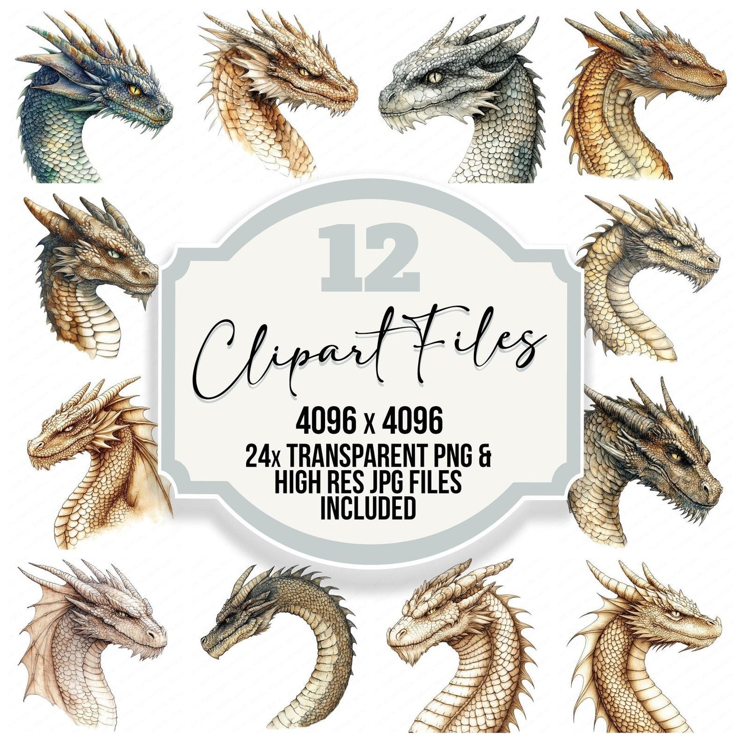 Dragon Profile Clipart Set (DDD005127)