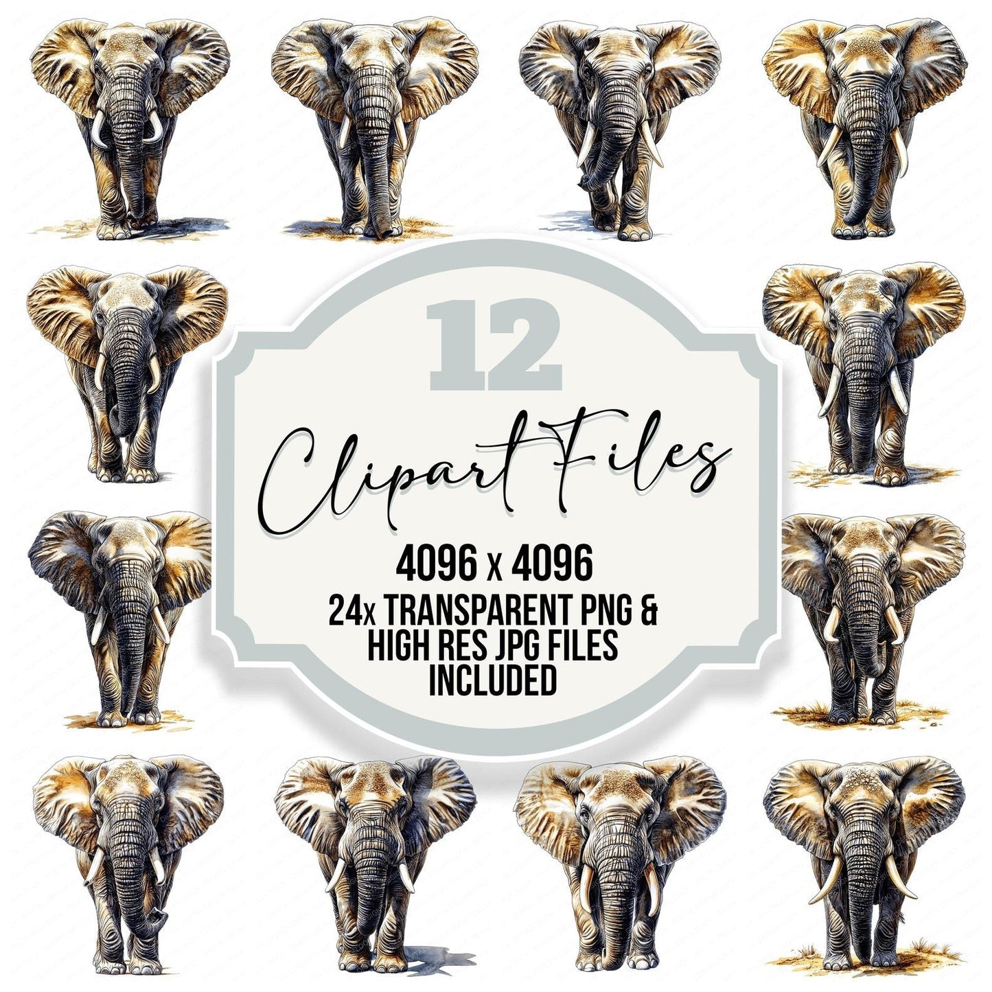 Elephant Watercolour Illustration Clipart Set (DDD005165)