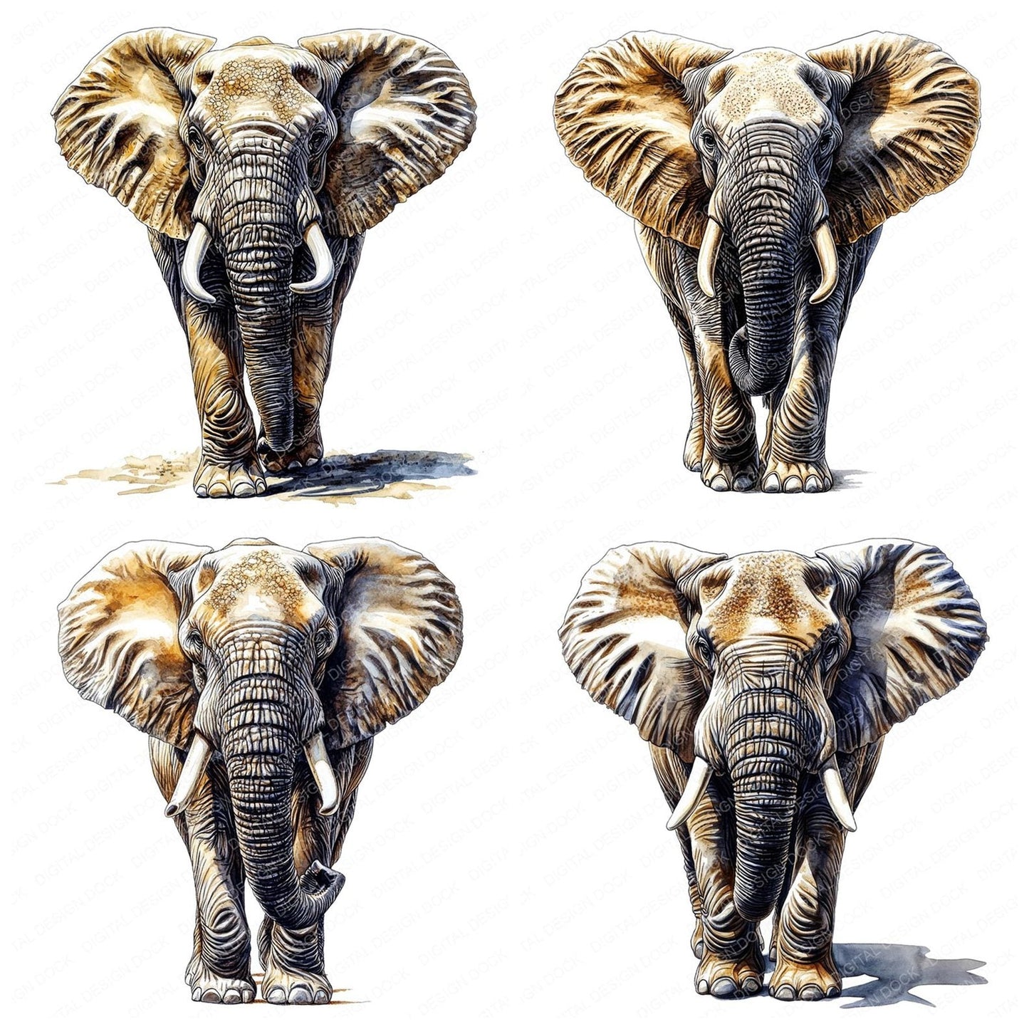 Elephant Watercolour Illustration Clipart Set (DDD005165)