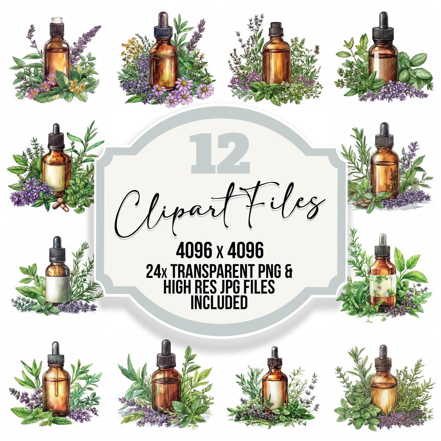 Essential Oils and Herbs Clipart Set (DDD005183)