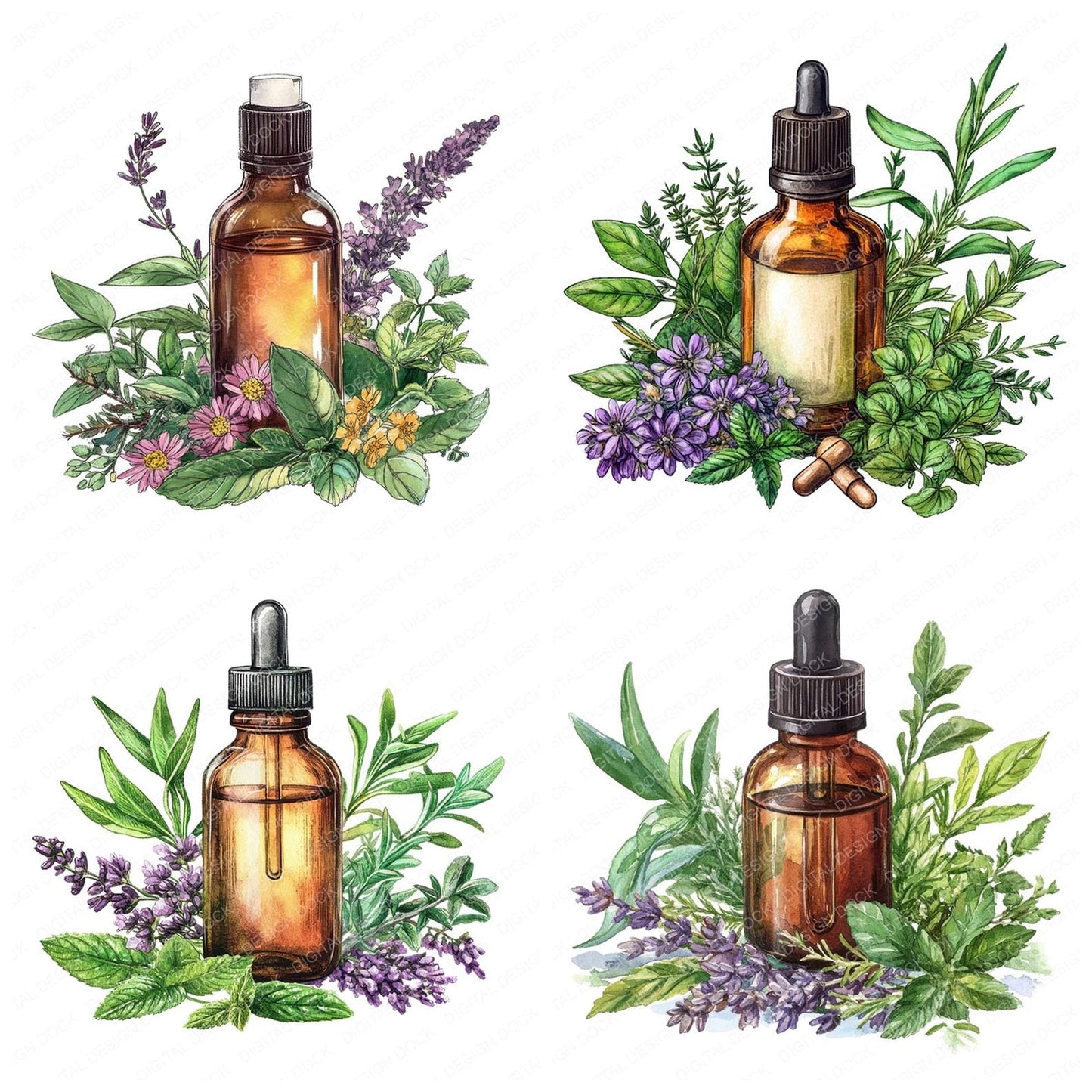Essential Oils and Herbs Clipart Set (DDD005183)