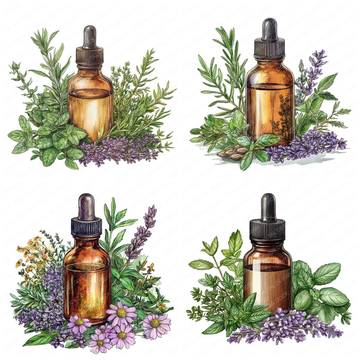 Essential Oils and Herbs Clipart Set (DDD005183)