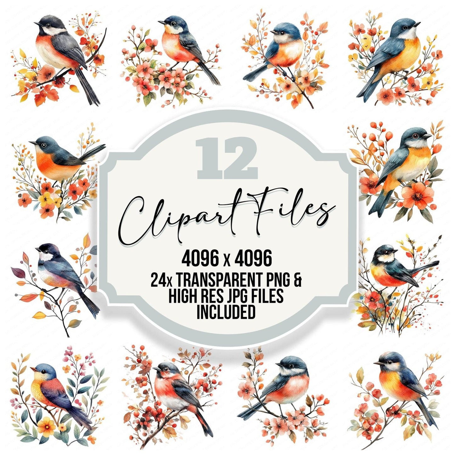 Floral Bird Clipart Set (DDD005371)