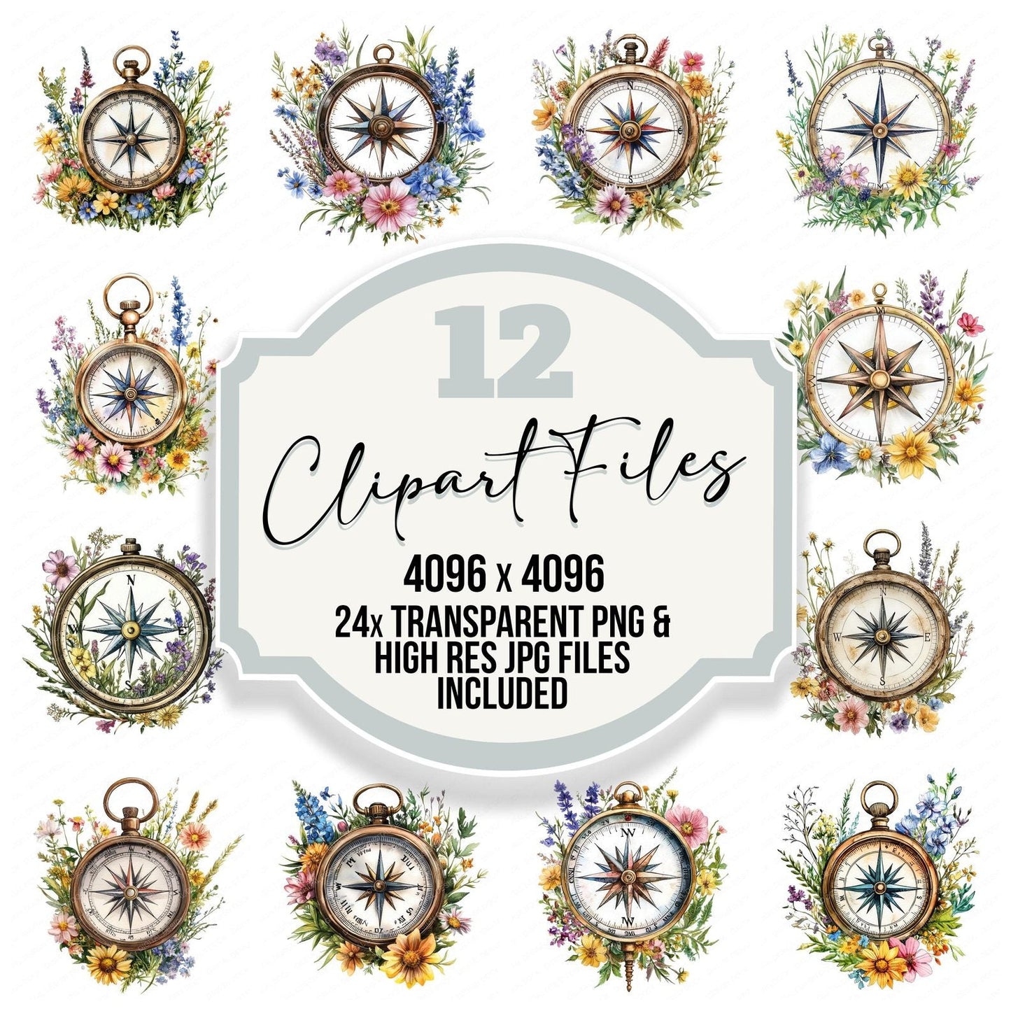 Floral Compass Clipart Set (DDD005387)
