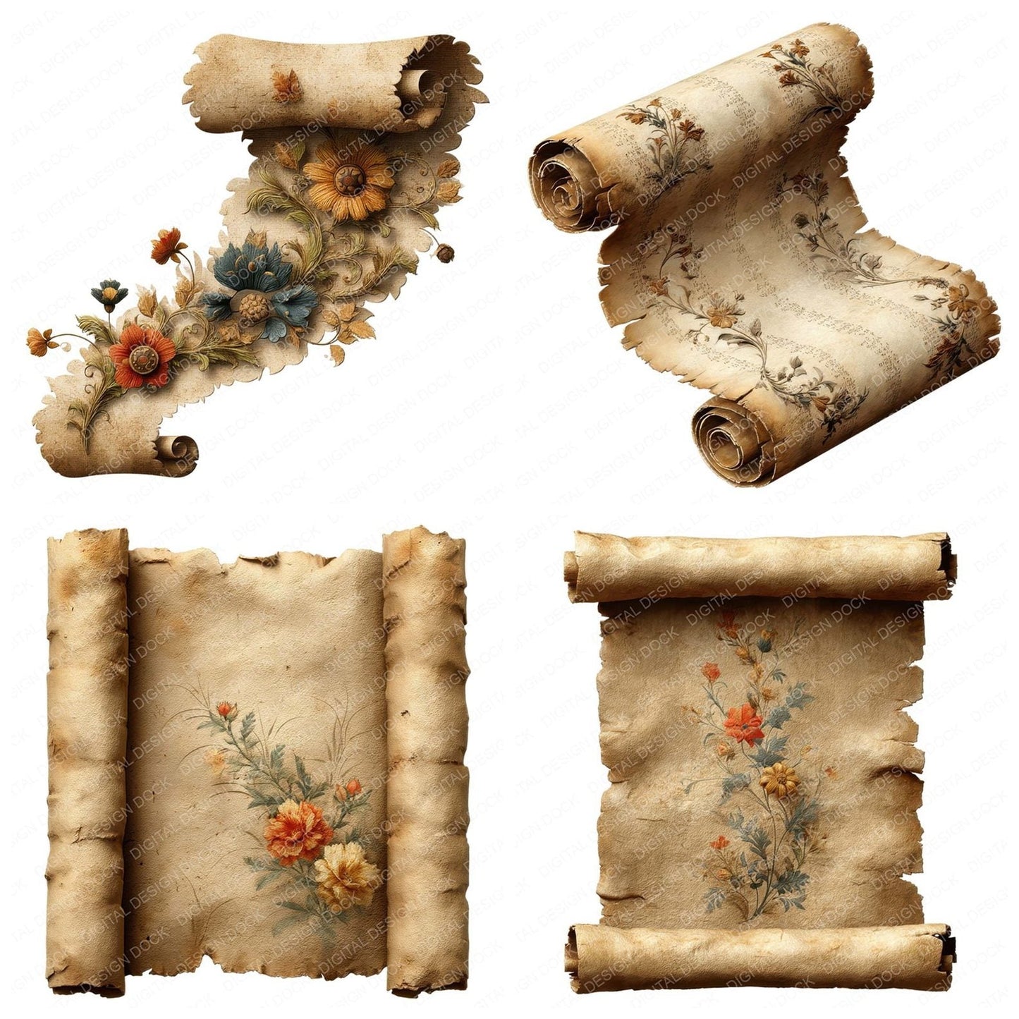 Floral Paper Scroll Clipart Set (DDD005414)