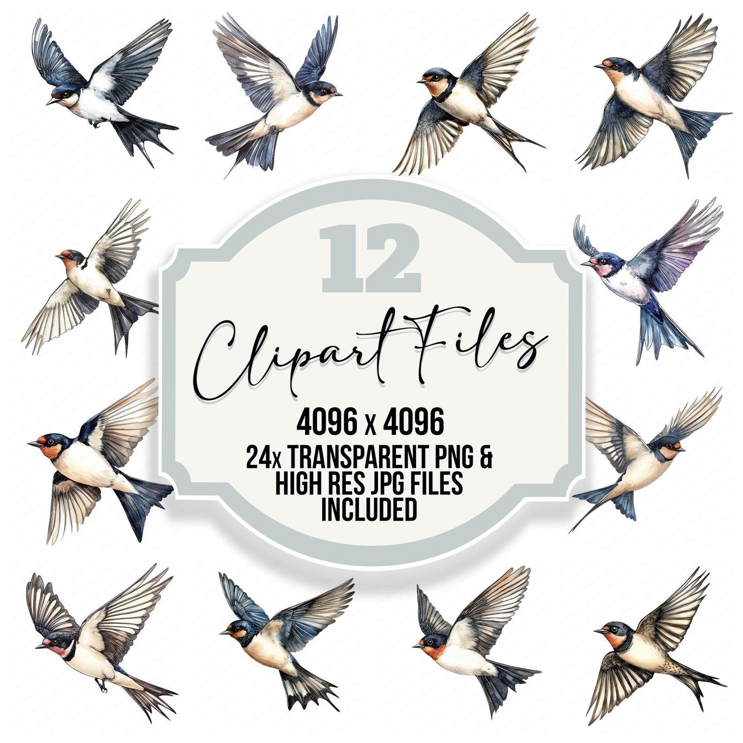 Flying Swallow Bird Clipart Set (DDD005456)