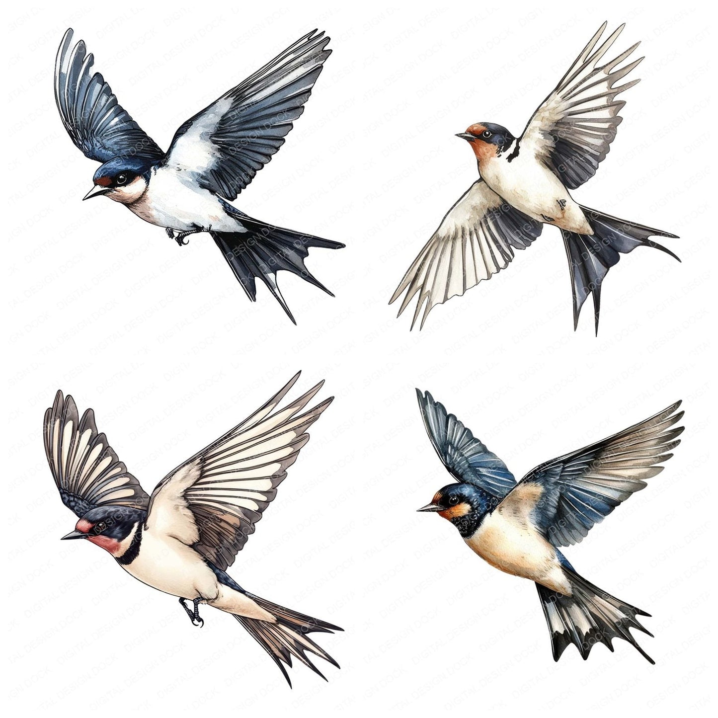 Flying Swallow Bird Clipart Set (DDD005456)