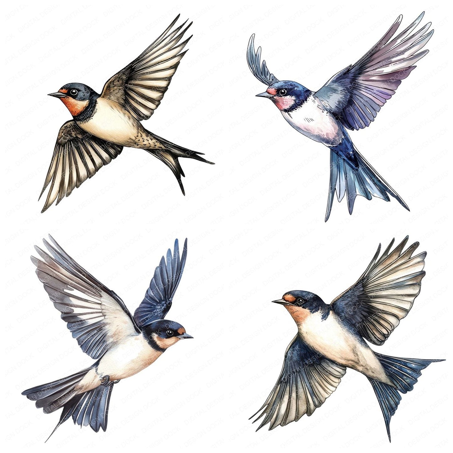 Flying Swallow Bird Clipart Set (DDD005456)