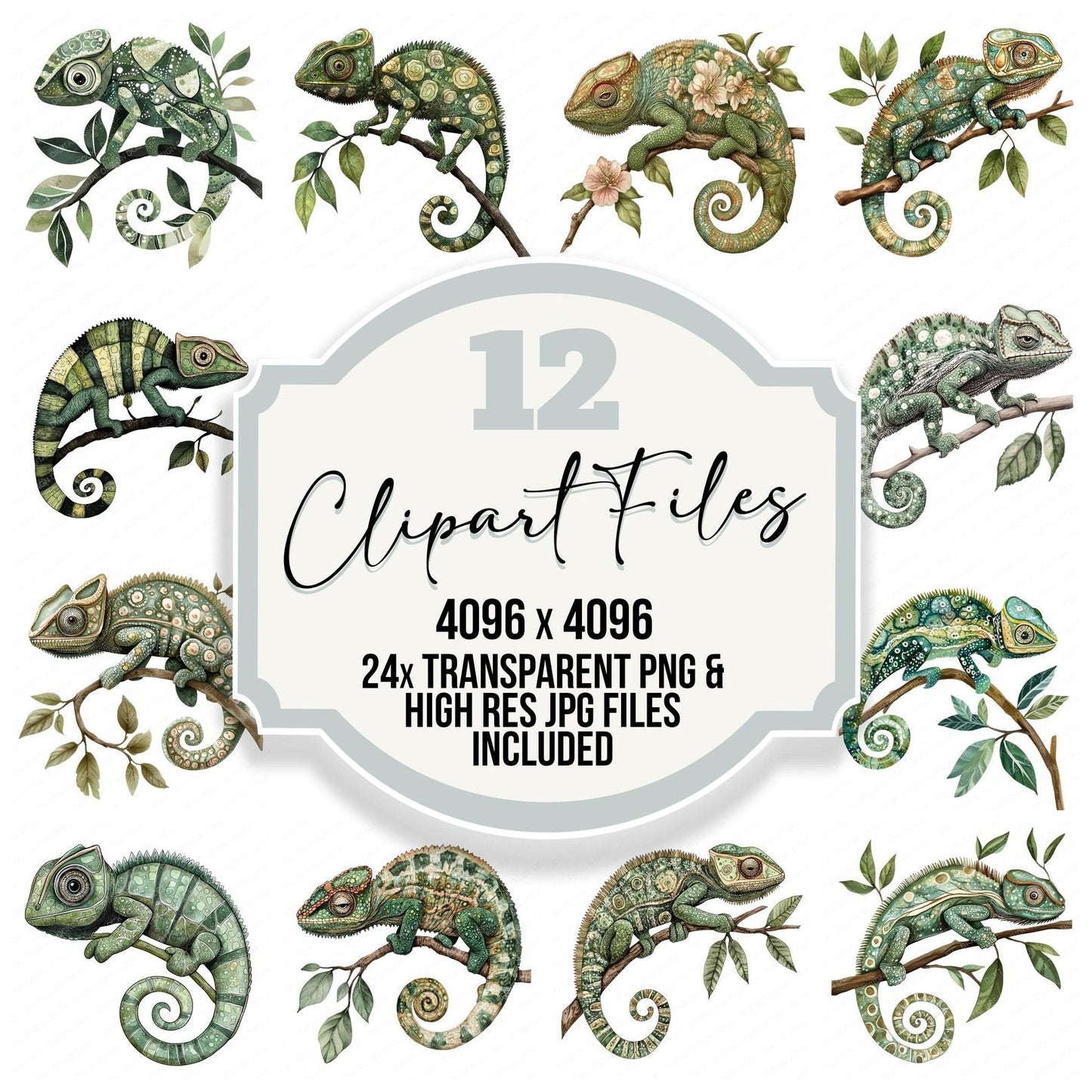 Folk Art Chameleon Clipart Set (DDD005464)