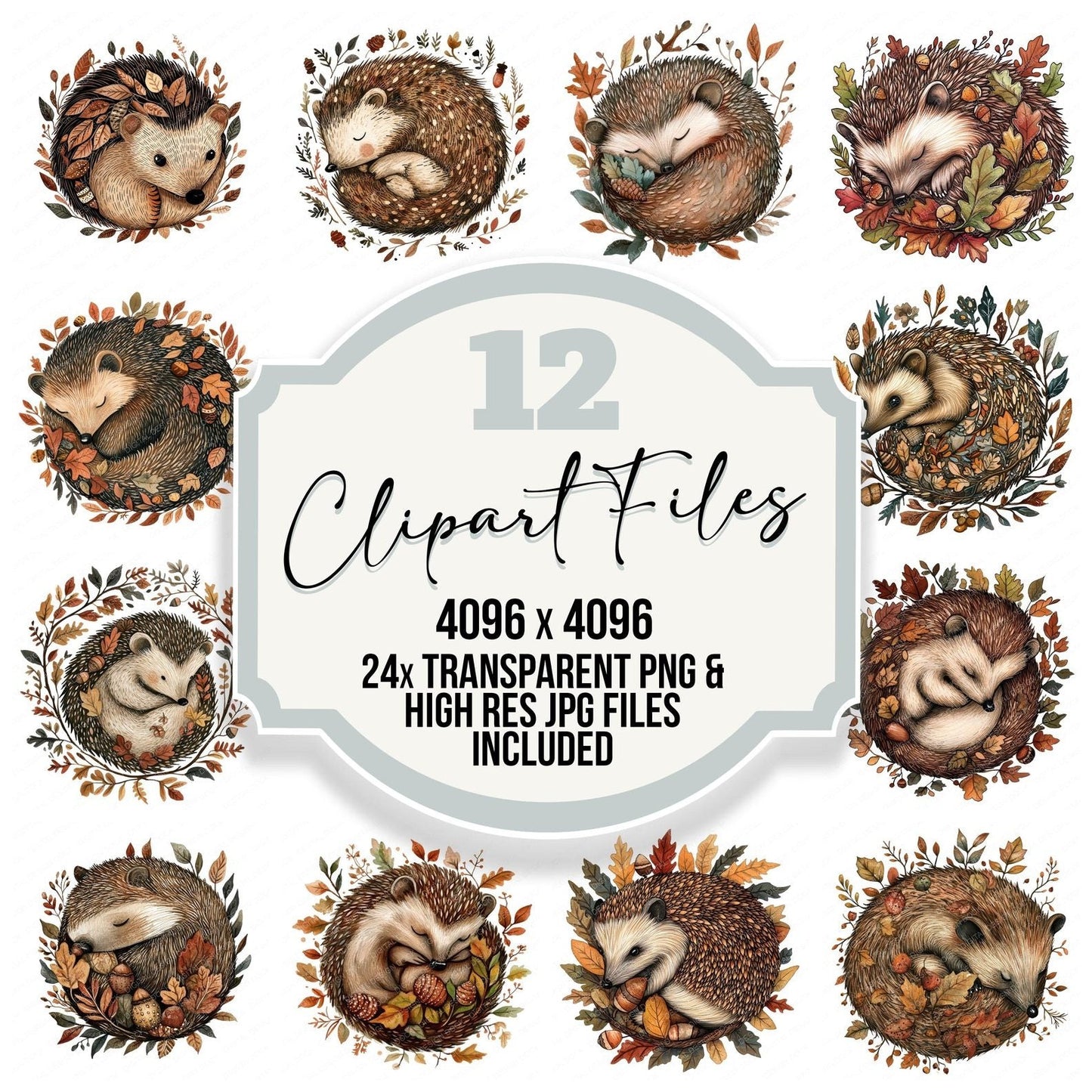 Folk Hedgehog with Leaves Clipart Set (DDD005574)