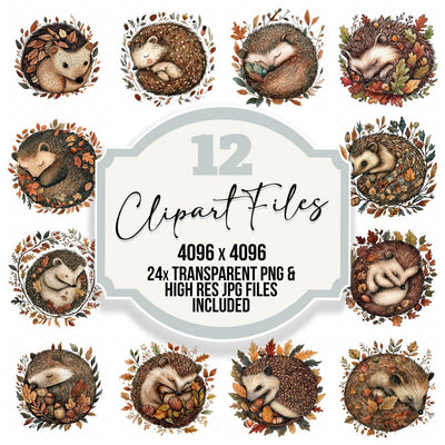 Folk Hedgehog with Leaves clipart set cover showing the designs and file details