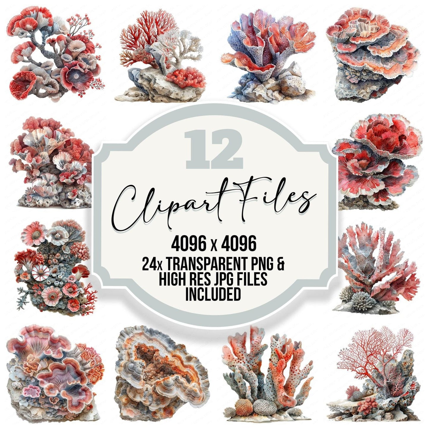 Fossilised Coral Clipart Set (DDD005643)