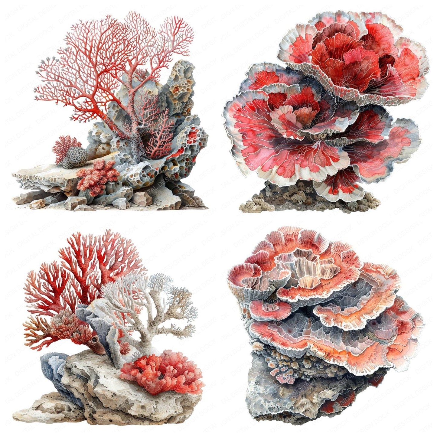 Fossilised Coral Clipart Set (DDD005643)